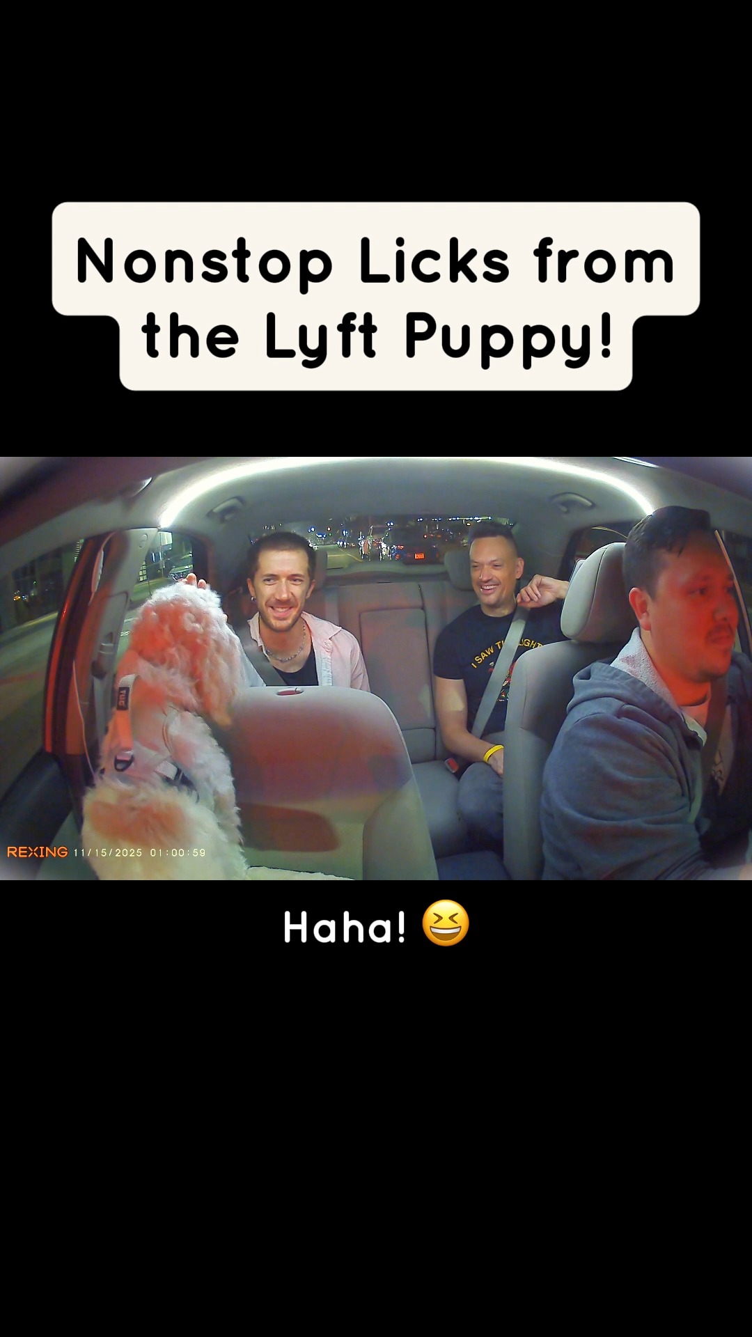 This Puppy Gives ALL the Kisses!
#ridewithmarshmallow #thelyftpuppy #dogsofinstagram #cavachon #minnesota