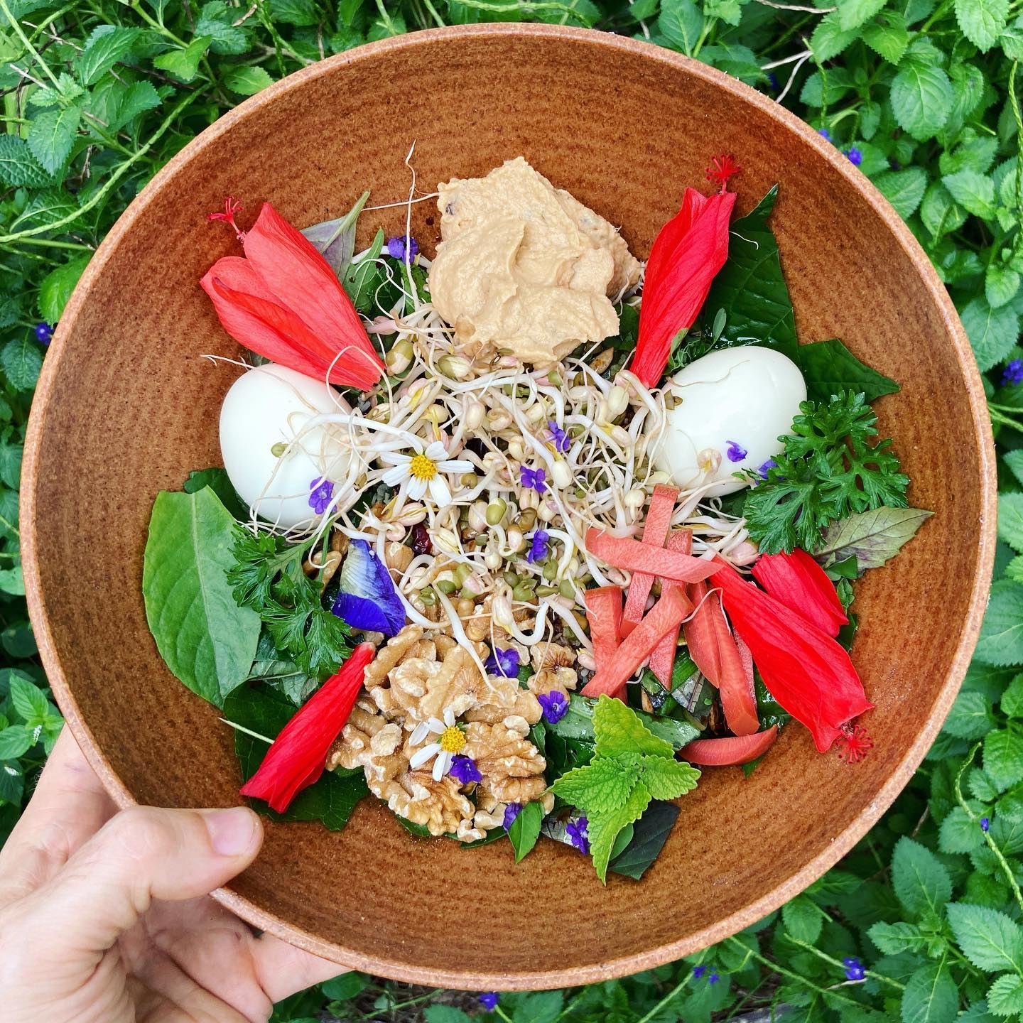 Hello everyone! Many of us in the Permaculture/Gardening community know how important BIODIVERSITY is to creating a healthy ecosystem. As a permaculture designer, I teach people in Central Florida how to design FOOD FOREST gardens in their yards and community spaces. On Thursday 10/8, I am going to shift INWARD and discuss how to design the INNER FOOD FOREST GARDEN.
New research shows that our guts are populated with trillions of beneficial bacteria, fungi, viruses, and protozoa- living, feeding, and releasing chemicals that regulate important body functions such as our immune system, metabolism, and detoxification pathways. I will show you how to make a salad that can help rebalance your inner ecosystem and improve your health. Click on the link in my profile to register for this Zoom event! #polyphenols #foodforest #microbiome #guthealth #autoimmunedisease #autoimmunehealth #prebiotics #probiotics #biodiversity #salad #microbes