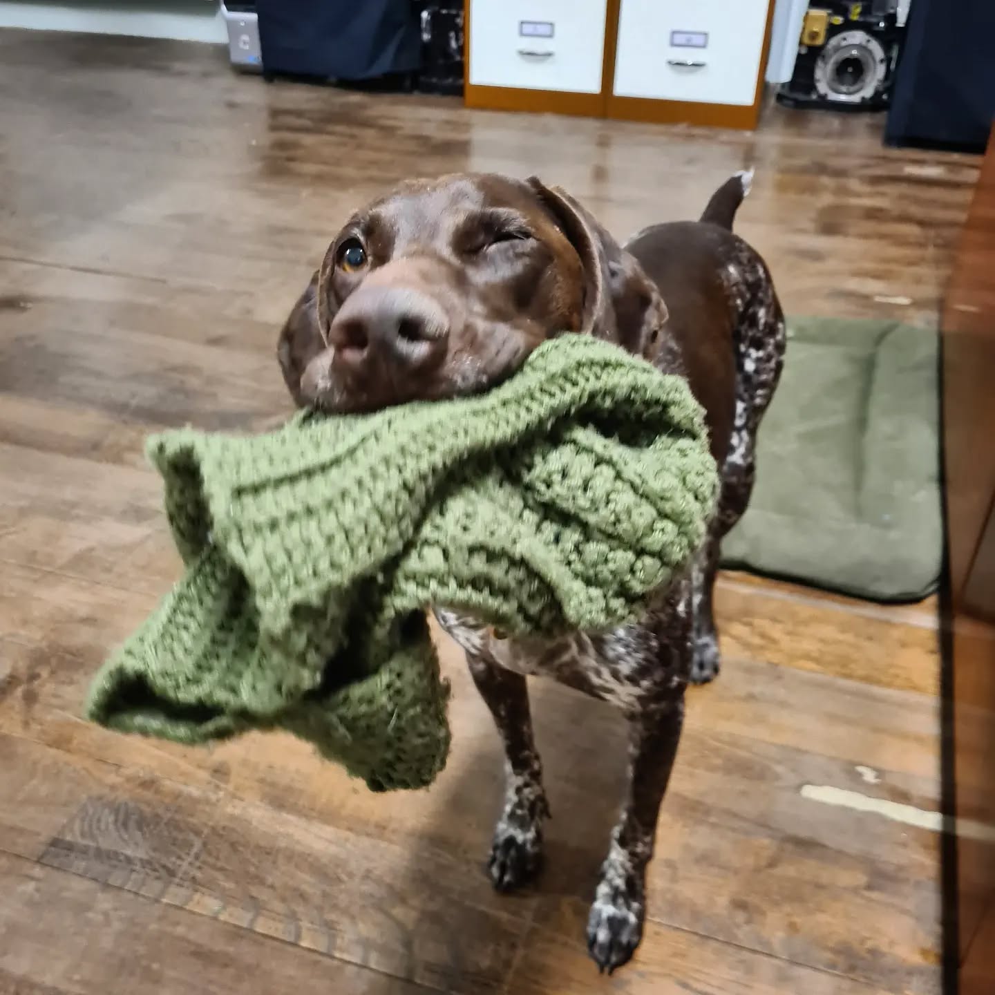 Happy weekend from SWR 😁🐶
.
#swr #motorsport #engineering #engineeringlife #racing #competition #gearbox #design #performance #machining #weekend #gsp