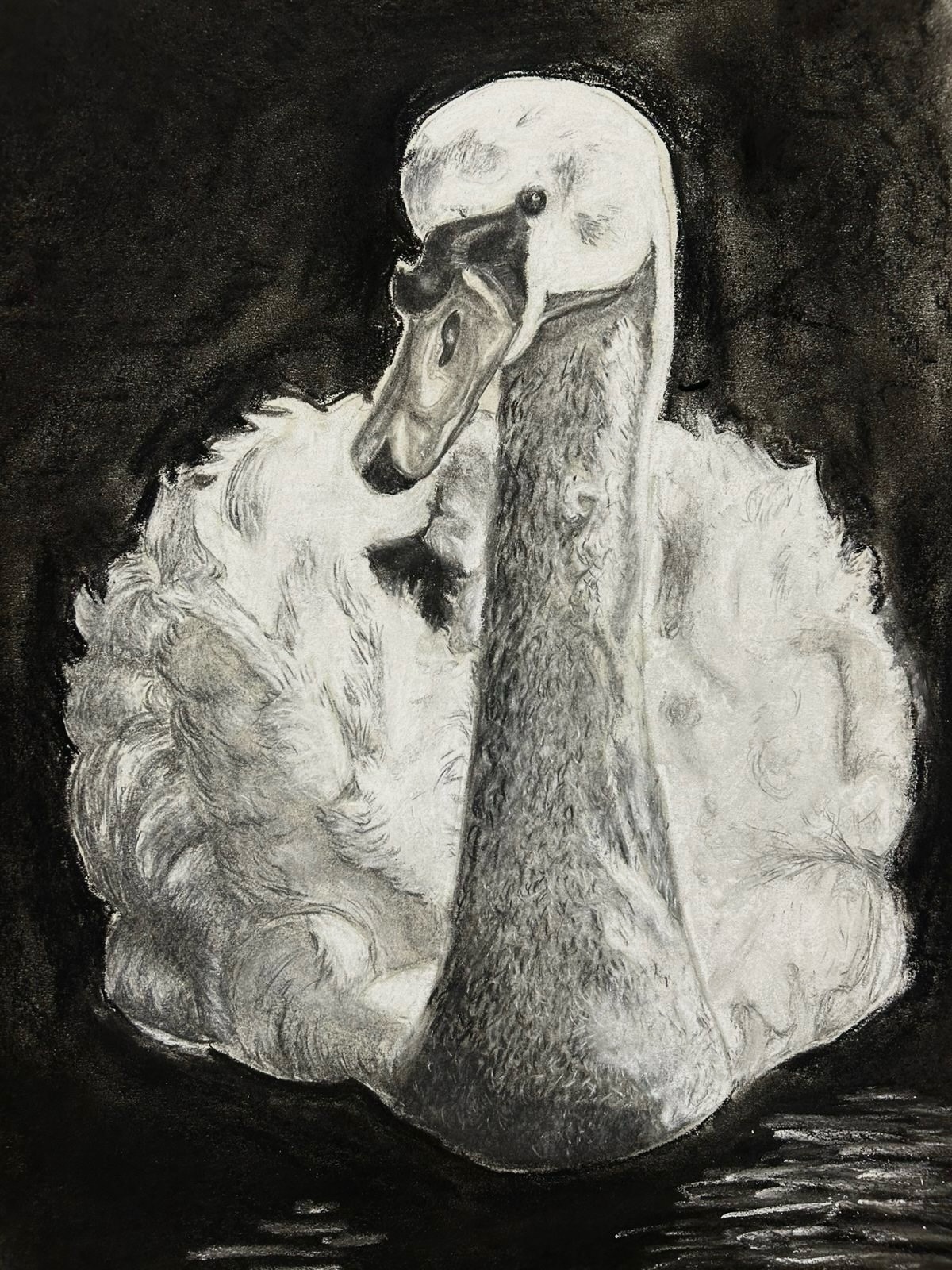 Swans brought to life 🦢✨
Beautiful charcoal and chalk studies exploring tone, mark-making, and fine detail. Students focused on texture, carefully capturing the softness, layering, and delicacy of feathers through thoughtful, impressive compositions ⚪️⚫️
Well done to our RTSY students 👏
#RTSY #Enfield #londonart #drawing #ArtEducation