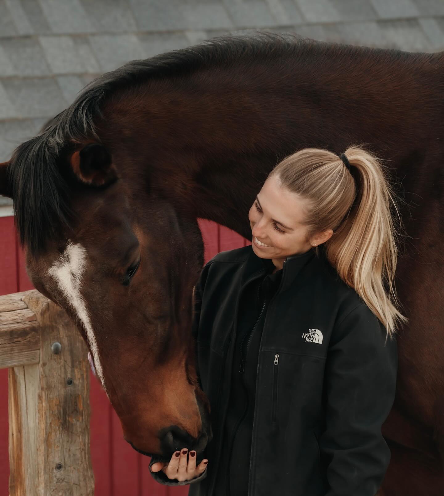 There’s nothing better than getting back with your best friend after weeks apart. We’re so lucky to know the love of a horse 💙 #horses #northerncolorado #baygelding @madisonmccarthy