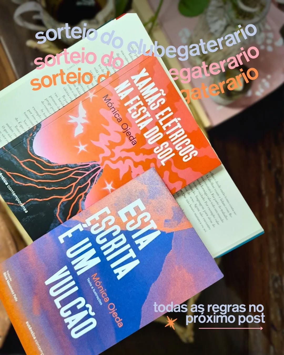 Quer participar de uma discussão literária e, de quebra, levar um livro novo para casa com brinde?
Vamos sortear o livro Xamãs Elétricos na Festa do Sol, da escritora equatoriana Mónica Ojeda, no dia 31/01.
Regras para participar do sorteio:
1. Seguir o @clubegaterario.
2. Compartilhar esta imagem nos stories e nos mencionar.
3. Comparecer presencialmente ao encontro de discussão de Água Viva, de Clarice Lispector, no dia 31/01.
Sinopse:
O romance acompanha Noa, uma jovem que foge de casa com a amiga Nicole para participar do Ruído Solar, um festival que acontece nos Andes e reúne música, rituais, performances e experiências coletivas intensas. Durante os dias do evento, Noa é levada a confrontar questões profundas sobre identidade, pertencimento, violência e laços familiares, especialmente a ausência do pai. A narrativa acompanha esse deslocamento físico e emocional, em que a busca por liberdade se transforma em um processo de ruptura e autoconhecimento.
O sorteio será realizado no dia do encontro.
Para ganhar, é necessário cumprir todas as regras.