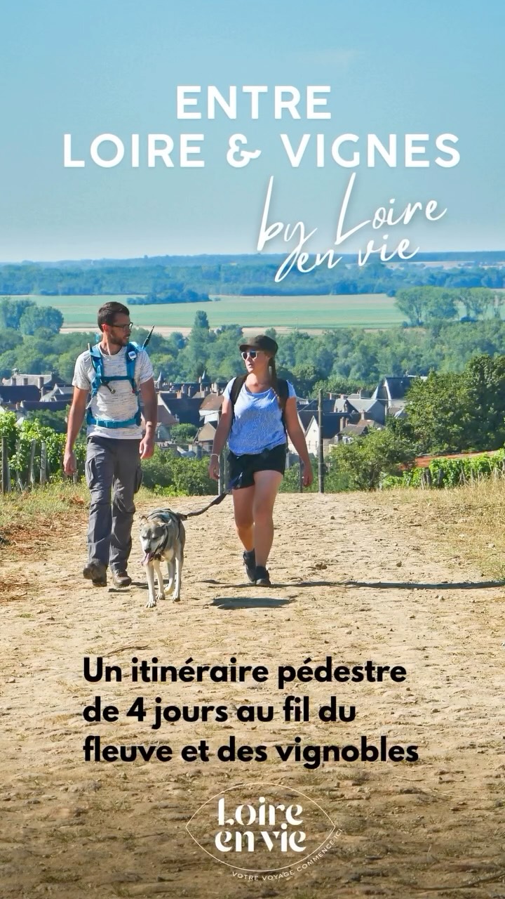 Entre Loire et vignes, chaque pas raconte une histoire : paysages ligériens, coteaux viticoles, villages charmants et haltes gourmandes.
Un itinéraire pédestre de 40 km en 4 jours, pensé pour ceux qui aiment découvrir autrement, au rythme du fleuve et des saisons.
➡️ Toutes les infos sur loirenvie.fr
#rando #pedestre #loire #loireenvie