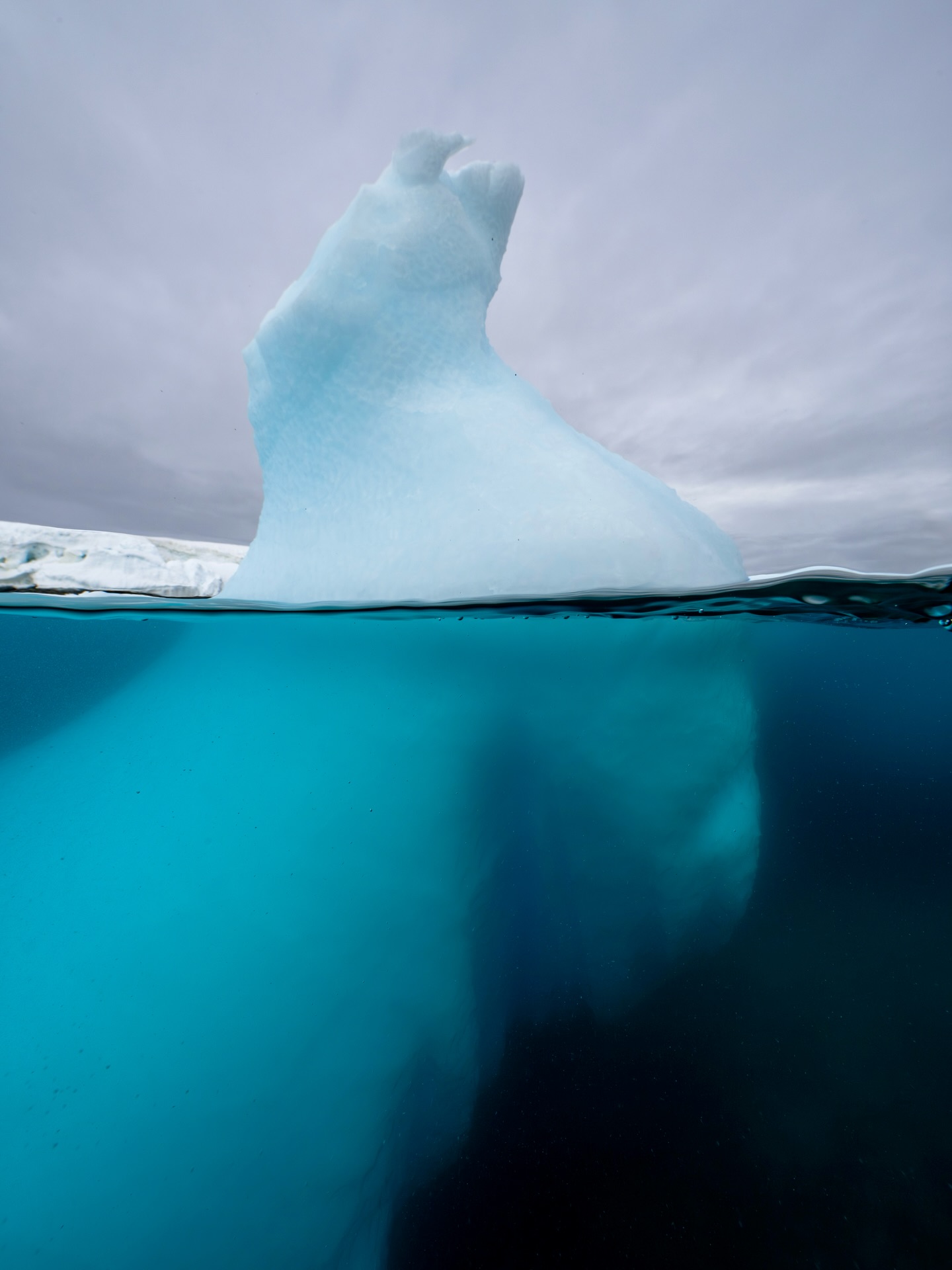 Antarctica’s icebergs are incredibly diverse and beautiful🧊
Over years, layers of snow compress on glaciers, trapping tiny air bubbles within the ice.
When sections of these glaciers break away, icebergs float free and segments of ancient ice can become exposed. As light rays pass through the compressed layers, different colours are illuminated, depending on the age of the freed ice.
The split shots capture above were taken while submerged in 1 °C water!
#antartica #ice #iceburgs #nature #ourplanet #wildlife #oceans #natgeoyourshot