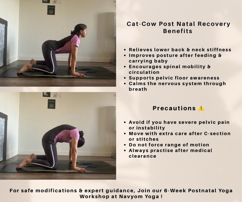Hey mommies, your spine works hard - feeding, lifting , carrying…now it’s time for relief .
For safe , expert guidance, join our 6 Weeks Post Natal Workshop at @navyom_yoga !
#postpartum #newmomsupport #postnatalhealing #breathworkhealing #catcow