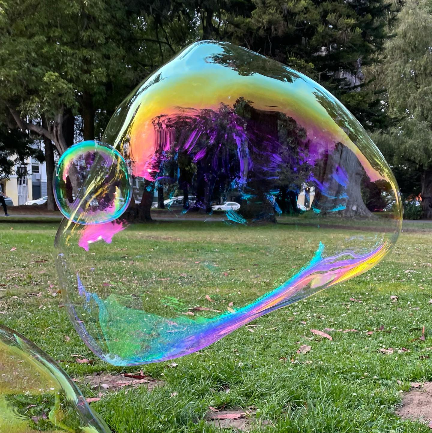 #nofilter Look at those colors!!!
🌈🤩🎉