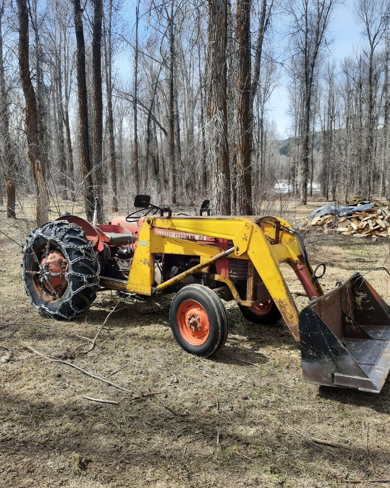 Dood! We got a tractor!!! Now we don’t have to farm by hand! This baby from 1956 runs great, hydraulics are smooth, and the pto will be soooo good for a tiller attachment. She’s a dream boat. Our man hours of labor for this season have been cut by like 3/4. Movin on up!
#SustainableAgriculture #SupportLocalFarmers #CommunitySupported #SustainableFarming #FarmLife #NaturalLiving #PasturedMeat #GrassFed #EthicalFarming #RegenerativeAgriculture #SmallFarms #HealthySoil #CommunitySupportedAgriculture #SustainableHarvest
#Sustainability #LocallySourced #FreshProduce #EthicalFarming #GreenLiving #WomanOwned #FemaleFarmer #WomenInAg #bossbabe #womeninagriculture