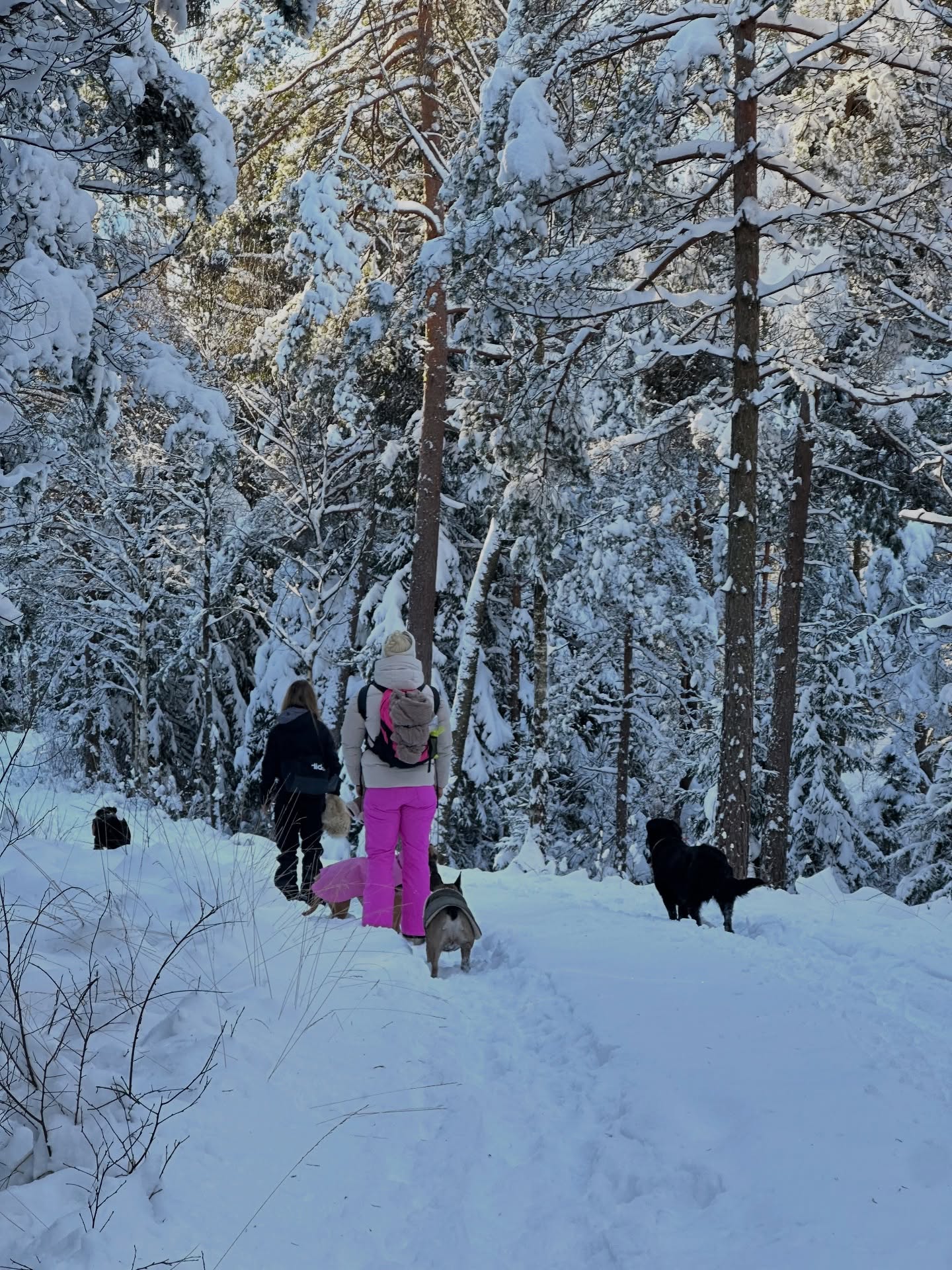 Sportlov på gång? Upplev härliga vandringar, god mat och avkoppling på Hällsnäs- en naturupplevelse att njuta av oavsett årstid🌲
Läs mer om vårt vandringspaket på hemsidan.