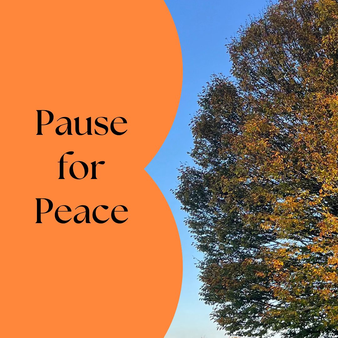 pause for peace
in amongst the busyness
letās come together
all faiths, all beliefs, all thinkings
as human kin
alongside each other
in community
for mindful
still
contemplative
quiet
mediation
presence
prayer
reflection
honouring
whatever you feel to call it
in support
as witness to
the suffering & pain
in this tumultuous, aching world
and within ourselves
practical support too
as a wholely donation based offering
for @chooselove
and their work with displaced people
with exton church in receipt of 10% raised
in gratitude for the space
tuesdays in november
6pm to 6.30pm
exton village church
all super welcome
would love to share the space with you
or indeed this window of time together
remotely and in presence
any questions or queries, holler
#pauseforpeace #hampshire