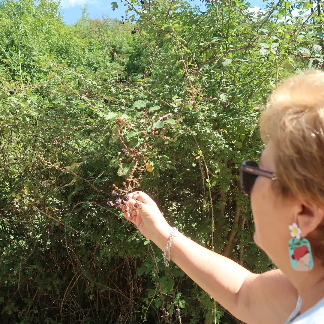 Ya llegó Septiembre🗓️ y con él multitud de frutos. Las zarzamoras comienzan a llenarse de sabrosas y dulces moras, las manzanas ya brillan y las primeras setas, despuntan entre pinaceas, robles y praderas. 🍄🍏🍇Ordesa nunca defrauda. Cada mes y estación nos descubre nuevas formas de relacionarnos con el entorno. Septiembre nos devuelve a nuestros orígenes, a la etapa de humanos recolectores que un día fuimos y será por ello, que cosechar unas moras mientras subimos a los Miradores de Ordesa nos pone la sonrisa en la cara y hacen que todo sepa mejor.🧺😋🤪