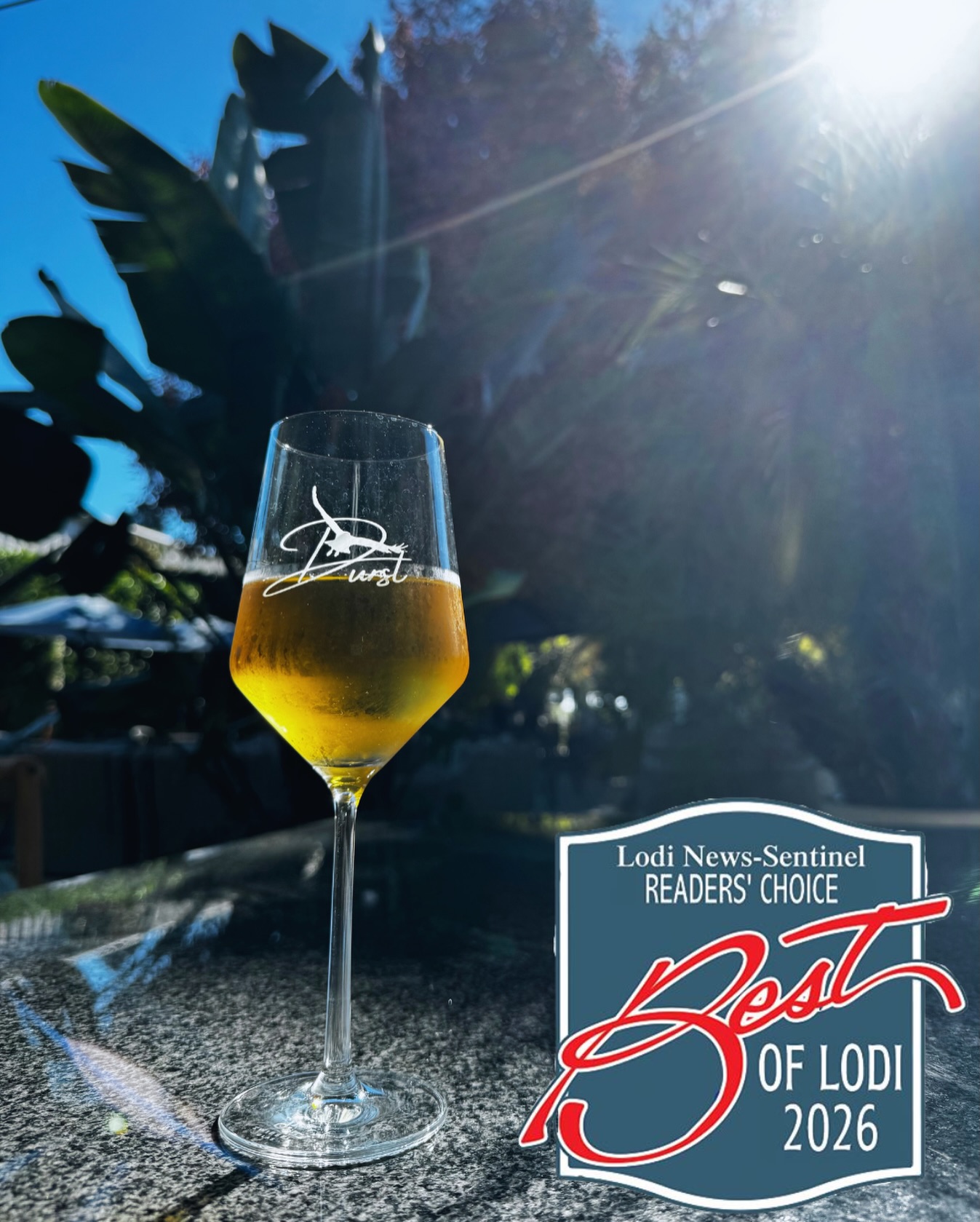 Our hearts are full - Durst Winery & Estate has been nominated for Best Winery and Best Venue in @lodinews Best of Lodi. Voting opens today, and every vote feels like a love note to our little corner of Lodi. 🍷❤️
Click the link in our bio to go vote!
#lodi #bestoflodi #lodiwine #visitlodi