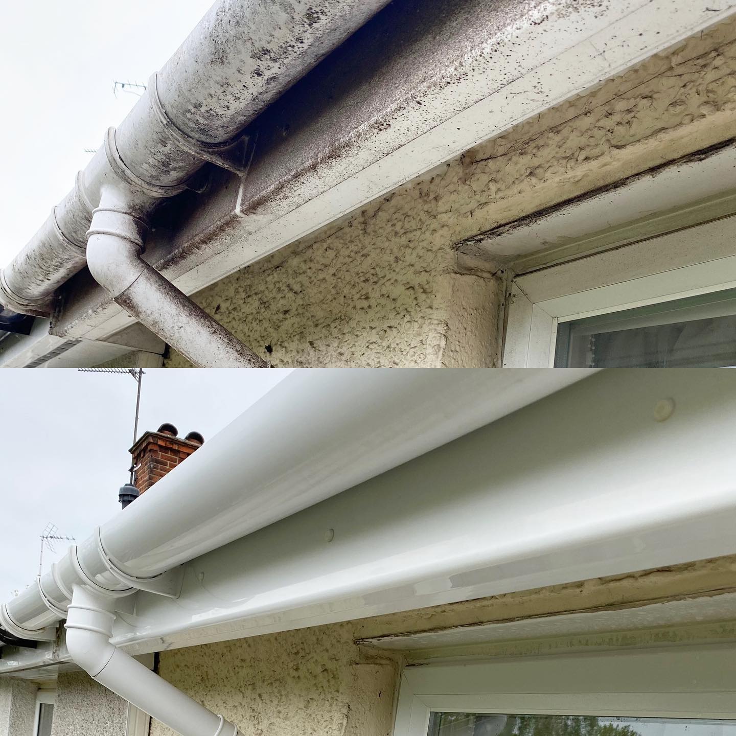 Before and After... what a difference. Facia & Soffit cleaning! #LewisWindowCleaning
#WindowCleaner
#WindowCleaning
#EssexWindowCleaner
#WindowCleanerEssex
#EssexWindowCleaning
#WindowCleaningEssex
#WaterFedPole
#BurnhamOnCrouch
#Maldon
#Witham
#Braintree
#Essex
#Cleaning
#WithamWindowCleaner
#MaldonWindowCleaner
#BraintreeWindowCleaner
#BurnhamOnCrouchWindowCleaner
#PureWater
#CleanWindows
#GutterClearance
#GutterCleaning
#ConservatoryCleaning
#CladdingCleaning
#LifeOfAWindowCleaner
#WindowWashing
#WindowCleaningLife
#WindowCleanersLife
#WindowCleaningService
#EssexWindowCleaningService