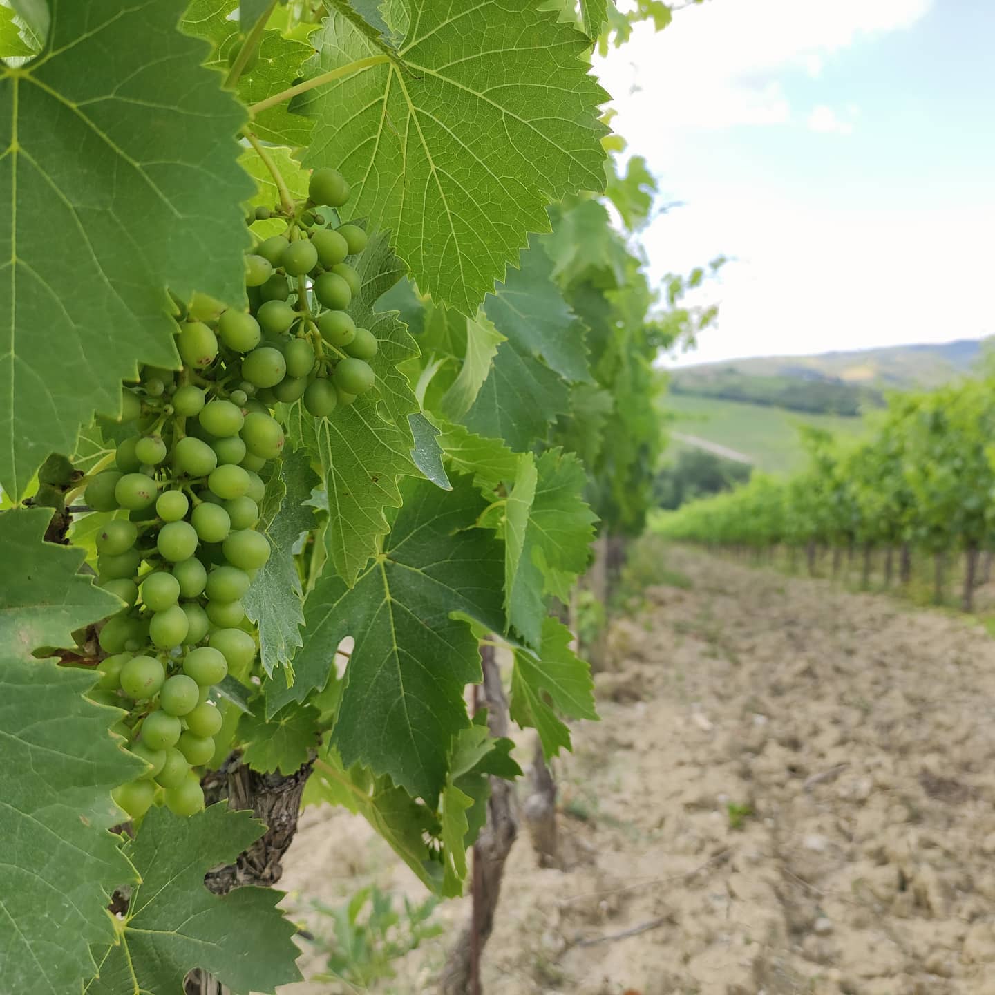 La stagione avanza, arriva il caldo ☀️