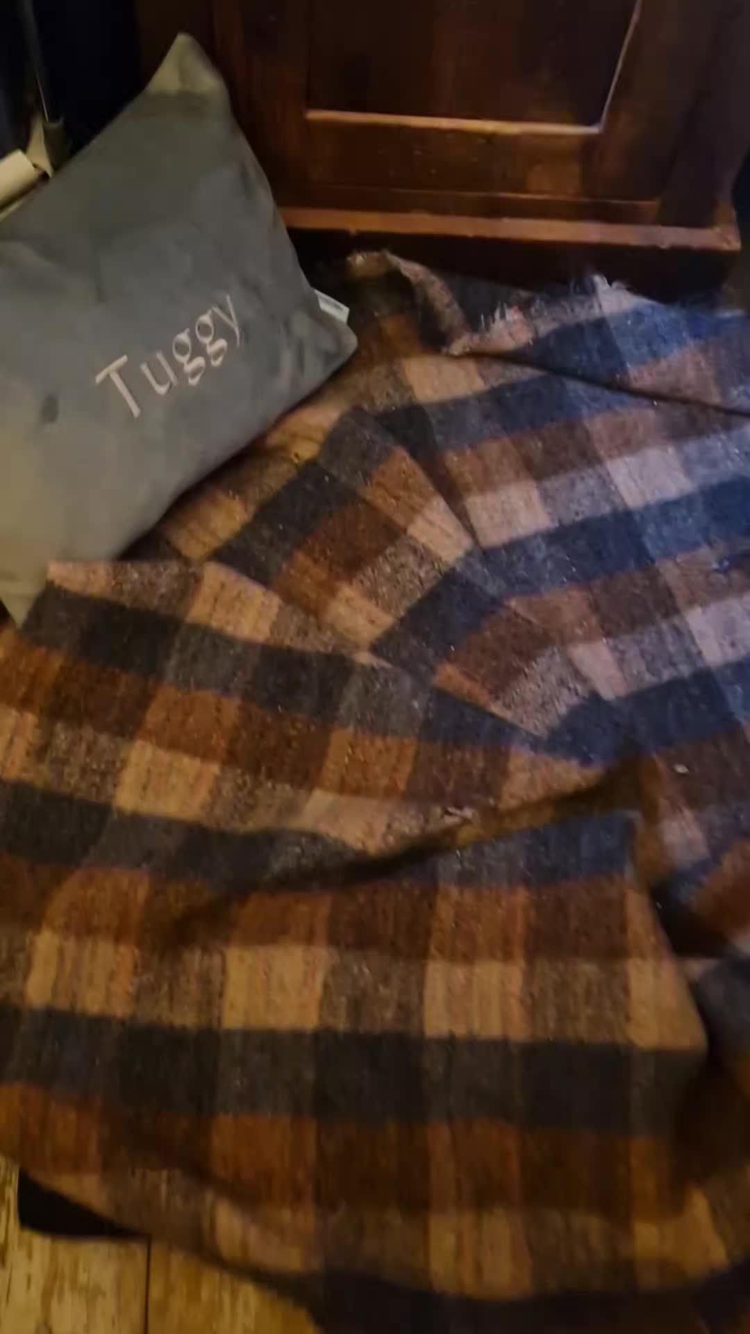 Where does your dog sleep?
Our Georgia is often up on our bed, and Tuggy generally sleeps on a big waterproof bed (it's nice and easy to clean with his incontinence!), and I've got him his very old luxurious velvety cushion for extra comfort! ๐ฅน๐งธ๐ถ