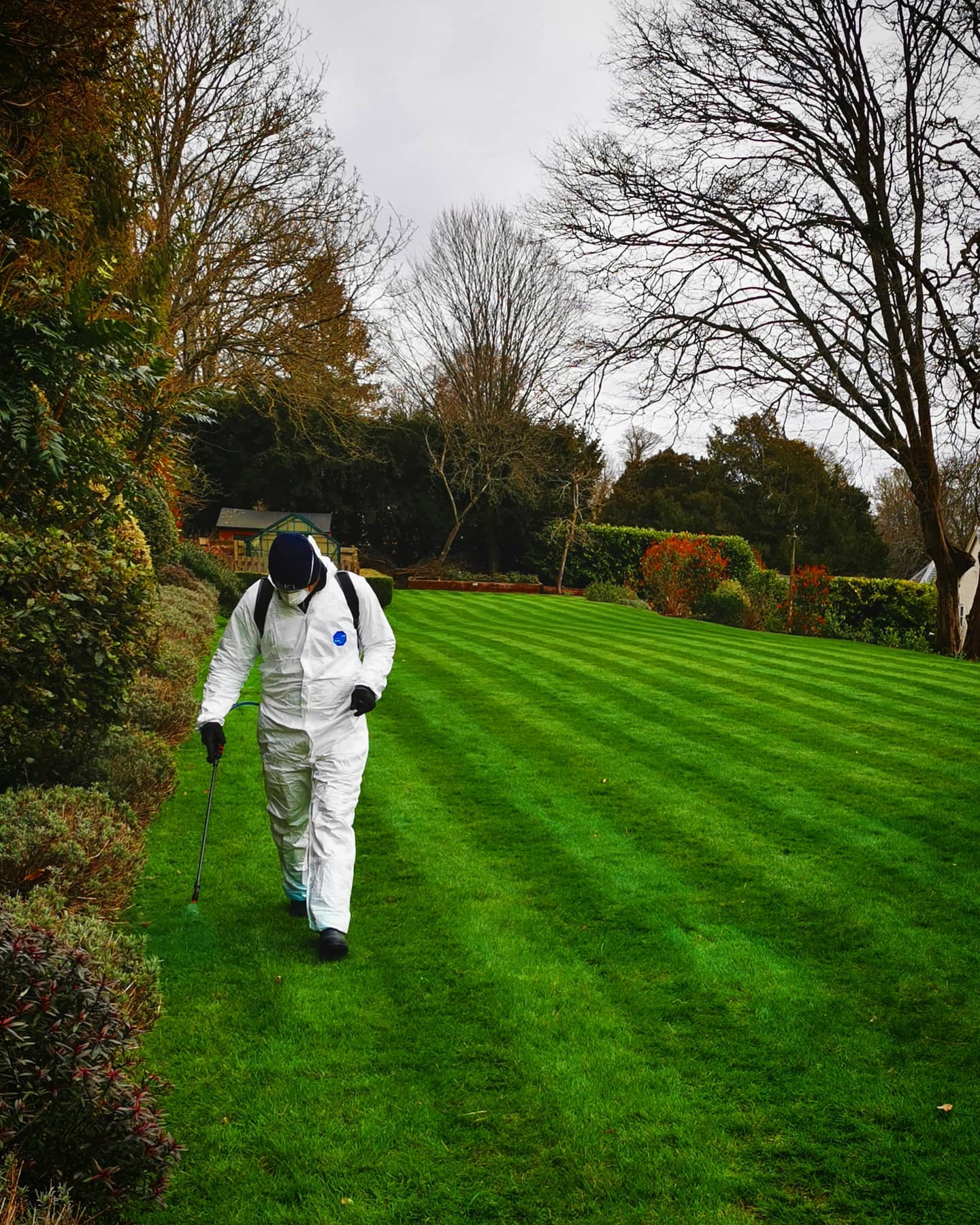 We been treating our clients lawns over the last few weeks. Spraying Iron Sulphate not only kills the moss off but it also makes the grass greener. We spray this a few weeks before we then go on to do the scarifying.
#lawncare #garden #gardening #bloomsford #grass #spraying #grasstreatment #lawntreatment #lovemyjob #outdoors #iron #ironsulphate