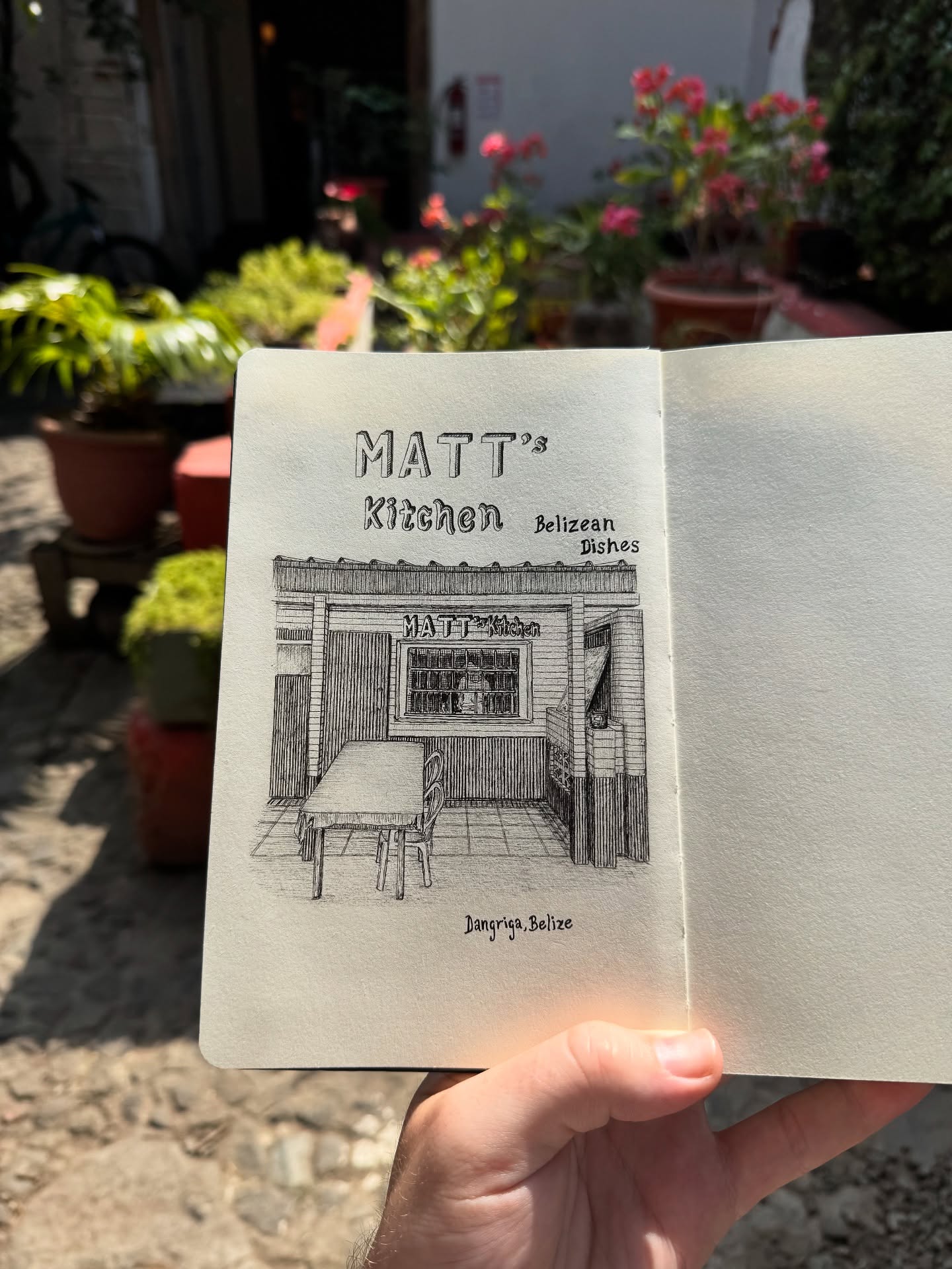 Matt’s Kitchen - Dangriga, Belize 🇧🇿
It would be rude not to..
#sketching #illustration #pendrawing #sketch #sketchbook