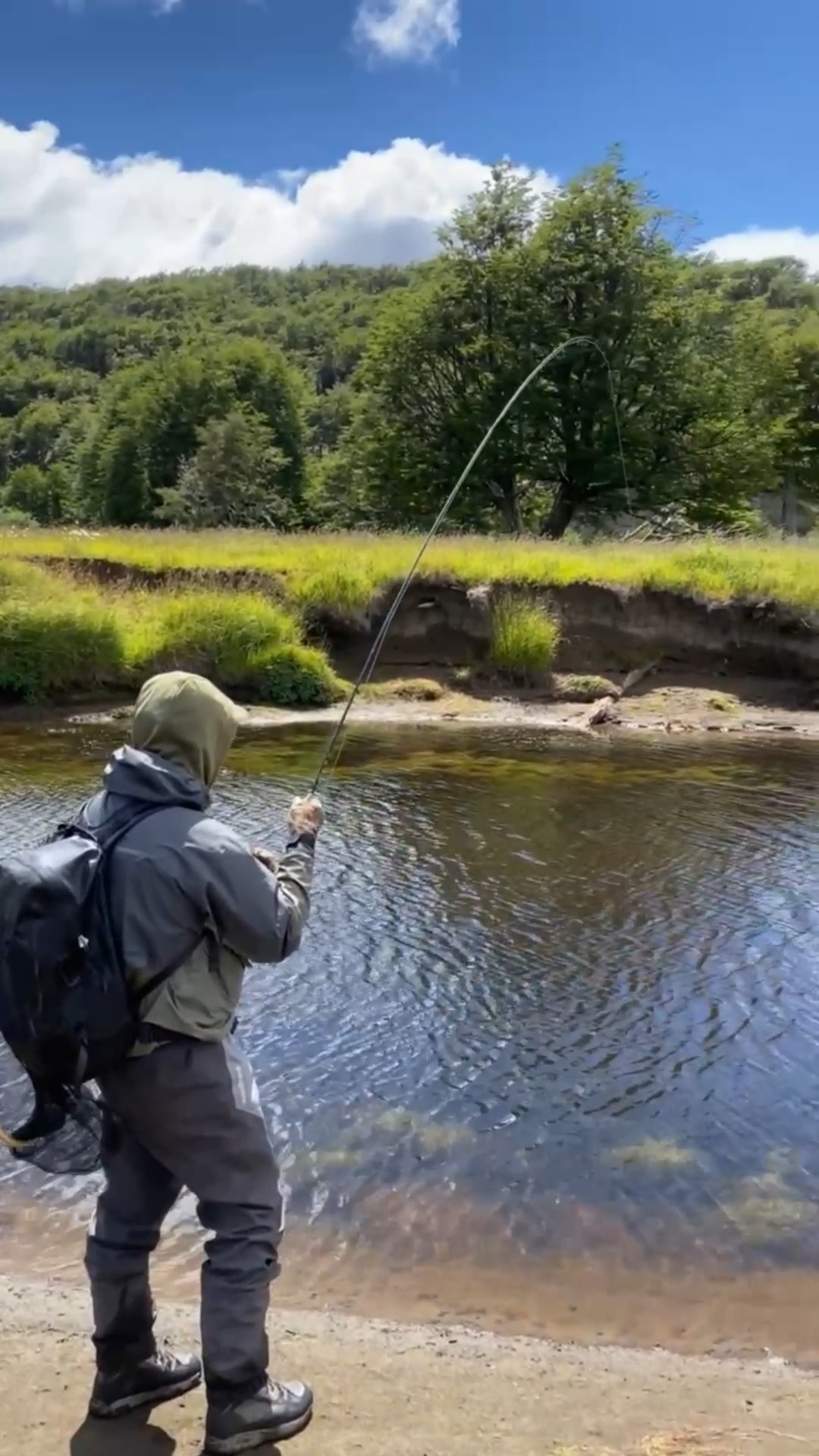 La pesca con mosca no es solo técnica, también es observación. Leer corrientes, fondos
y comportamientos de los peces requiere entender la dinámica del río y sus ciclos naturales.
#PescaConMosca #CatchAndRelease #RíosVivos #CuidadoDelAgua #EcosistemasAcuáticos #Conservación #PescaResponsable #Comunidades #AguaEsVida #patagonia_flyfish
------------------------------------------------------------------------------------------
Fly fishing is not just technique it’s observation. Reading currents, riverbeds, and
fish behavior requires understanding river dynamics and natural cycles.
#FlyFishing #CatchAndRelease #LivingRivers #AquaticEcosystems #WaterConservation #ResponsibleFishing #RiverLife #Community #ProtectOurRivers