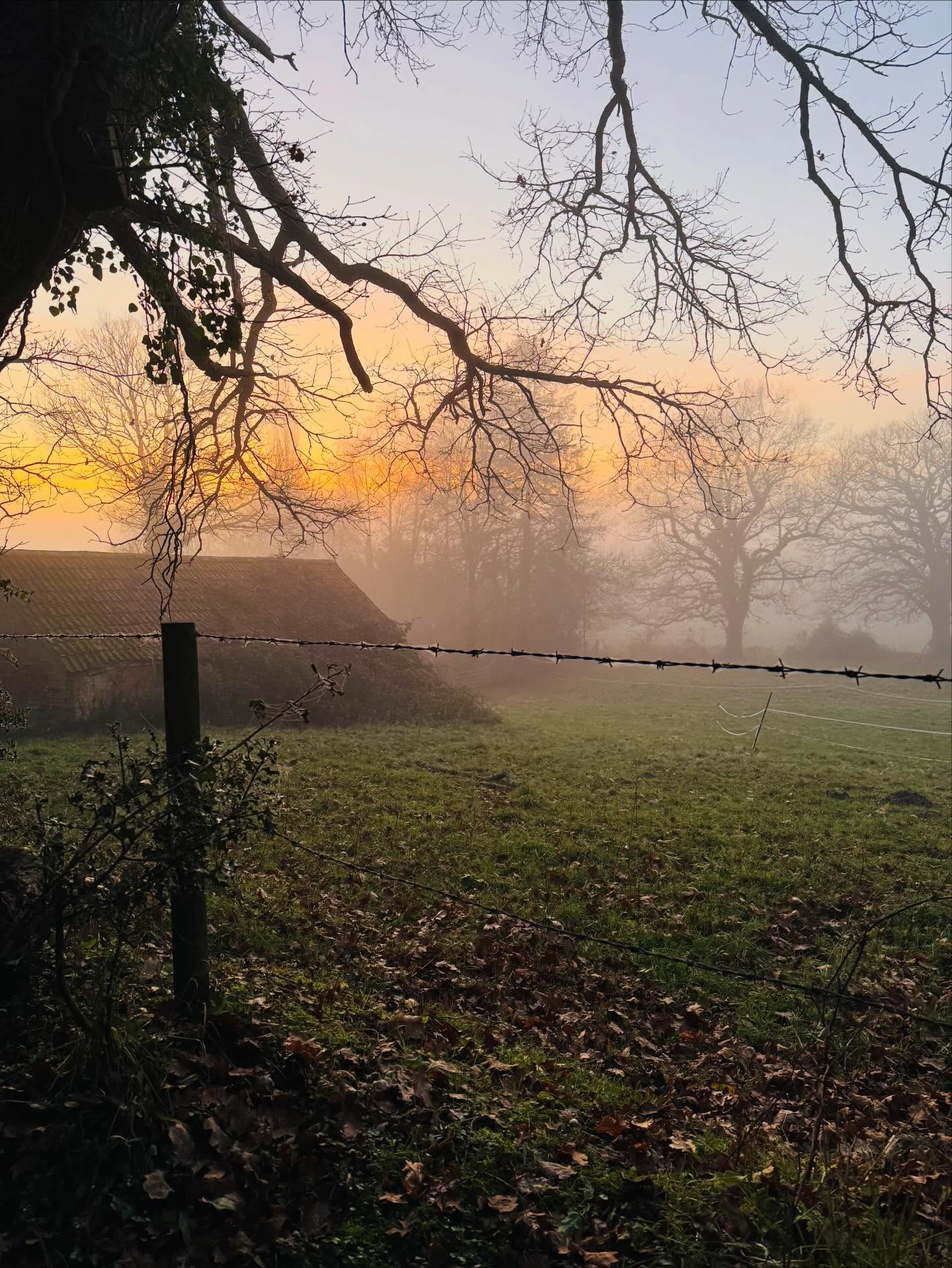 The last little while has made me pause and really take stock.
I’ve had a few people close to me (myself included)hit some difficult patches. Mentally, physically, financially. And it’s a reminder of how quickly life can shift.
Having my accident especially made me feel an overwhelming sense of gratitude. Not just for being here, but for how strong and resilient our bodies and minds truly are, even when we don’t feel it.
We owe our bodies nourishment that supports them.
We owe our minds acceptance, kindness, and gratitude.
Life can be hard. It throws things at us we’re not always prepared for. But learning to respect yourself, to listen, and to give your body what it deserves makes all the difference.
Slow down when you need to.
Look after yourself.
And allow yourself to live and enjoy the life you deserve 🤍
#livelife #loveyourself #bekindtoyourmind #