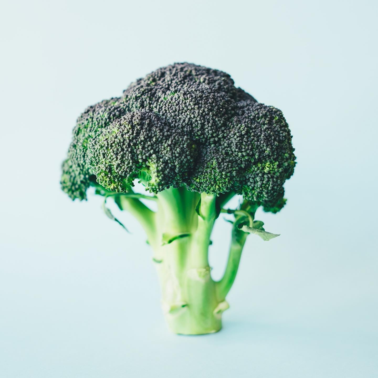 If you're coming off the pill there's lots you can do for a smooth-as-possible transition! 🙌 Here's some things to think about / discuss with your ND (or other healthcare provider):
💊Supplement – The pill depletes you of B-vitamins, Mg and Zinc – all which have a role in our mood, hormone production, skin health, etc, so its important to ensure your levels are adequate.
💆♀️Pick the right time – Stress can seriously impact our ability to ovulate. Since your reproductive system / hormones have already been suppressed for potentially years by the pill, high stress can make it that much harder for your ovaries to kick back into action. Note that our body interprets all types of stress the same - emotional and physical (ie over-exercising / high intensity training can also be a big source of stress on the body!)
🥦Eat clean / optimize your digestive health – A healthy liver and regular bowel movements are impotant for clearing synthetic hormones form the body. A healthy gut is also key to ensure well-balanced levels of your natural estrogen, to keep hormonal-related symptoms to a minimum. Think lots of leafy greens + cruciferous veggies!
✏️Start tracking your cycles right away! This will help us identify any issues earlier, and provides a lot of insight to help you understand your fertility (and overall health!), if pregnancy is a future plan.
Looking for some more support and direction? Shoot me a message or book a free-15 min consult to get started ☺️