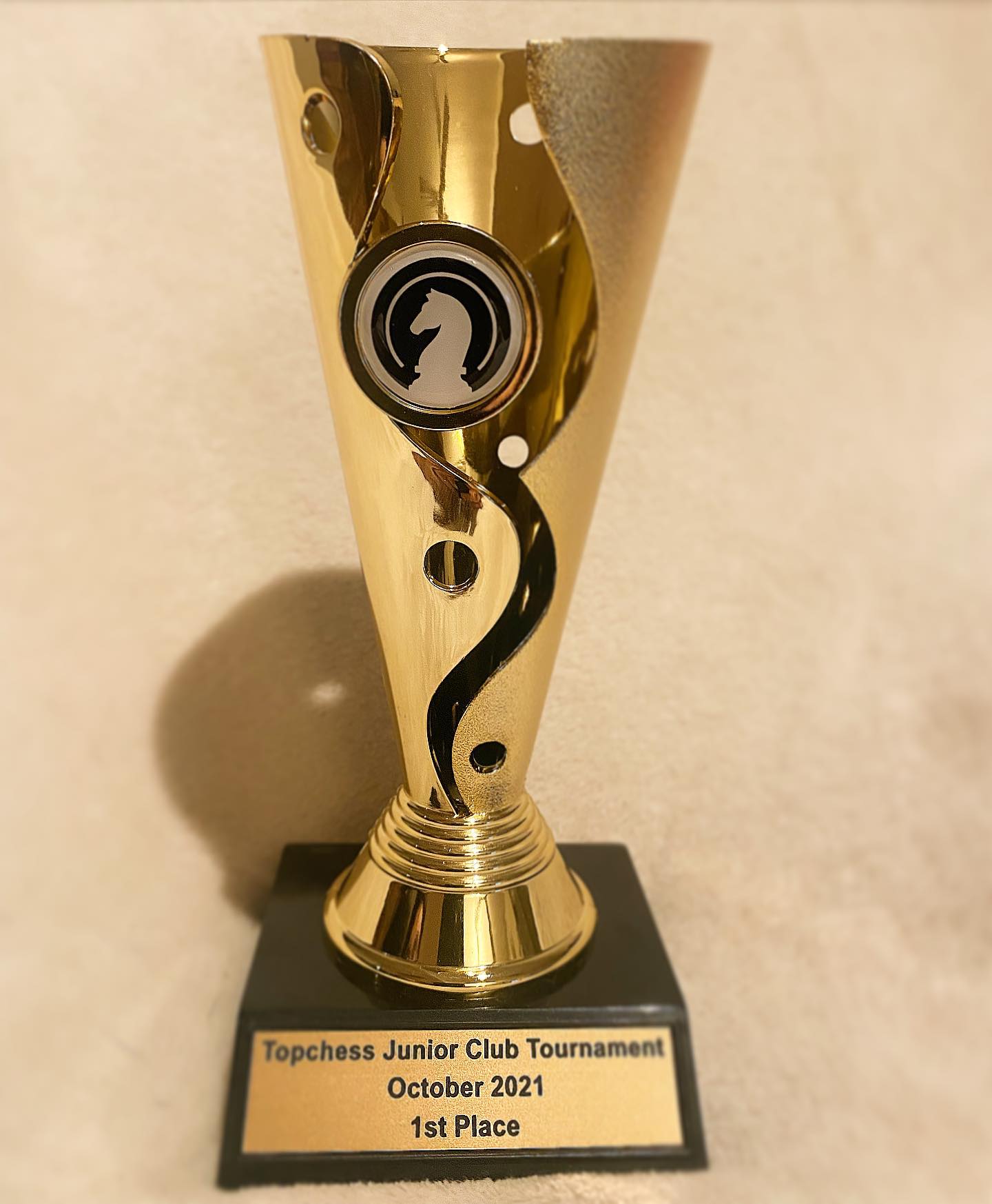 October Junior Club Chess Championships this Halloween. Trophies, medals plus $500 in prize money! 🎃🔝♟ full info at: www.topchess.com.au/events #halloweengambit