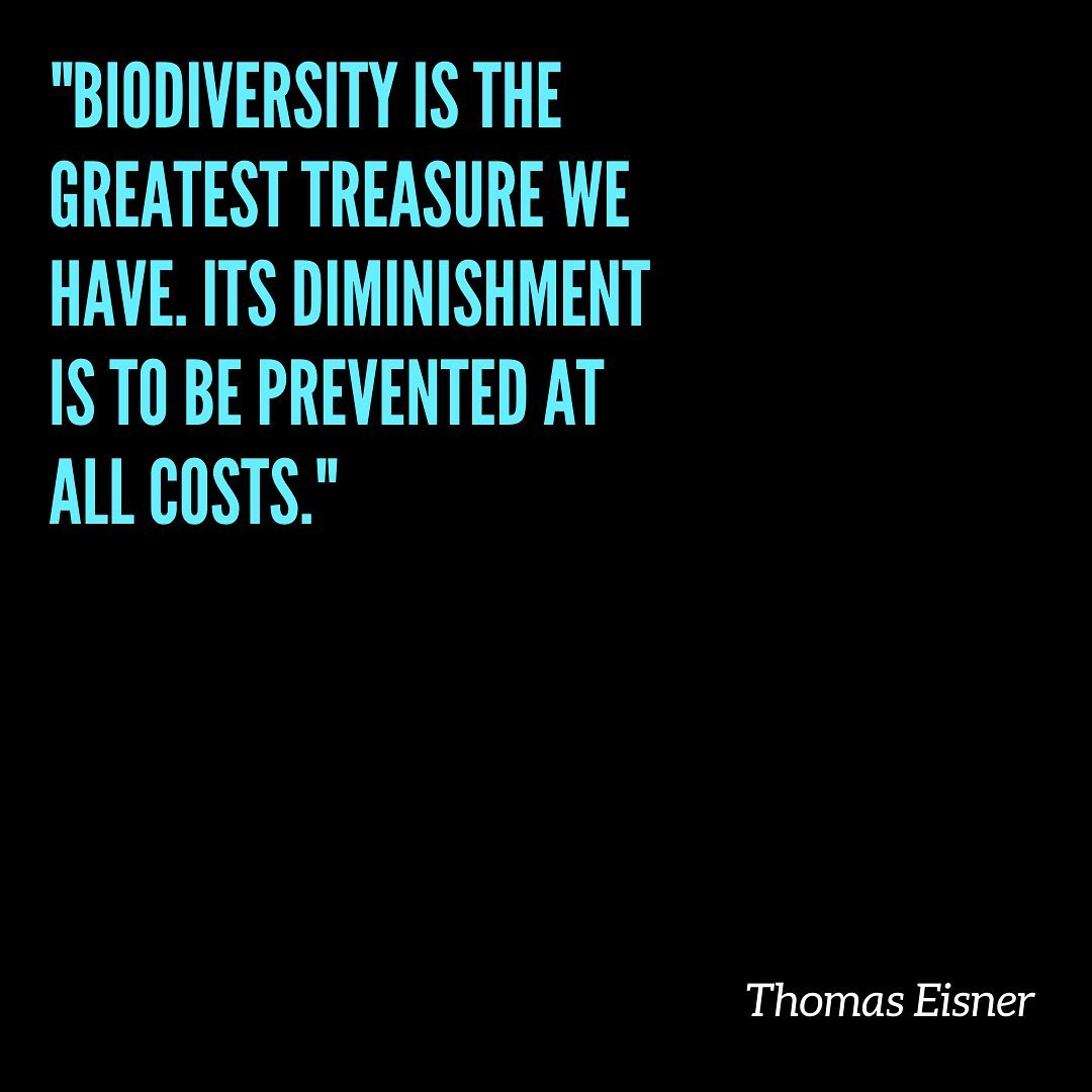 Do you enjoy those trips to the mountains? Where you see animals running free? Hiking in the wilderness??
In the words of the famous American ecologist, Thomas Eisner, biodiversity is “the greatest treasure we have – its diminishment is to be prevented at all costs”.
At its simplest biodiversity refers to all living things on the planet. It means LIFE and its variety! We can all do our bit to help our land and local wildlife and there are plenty of opportunities to get involved.
#socialimpact #unsdgs #lifeonland #sdg15lifeonland #land #restorenature