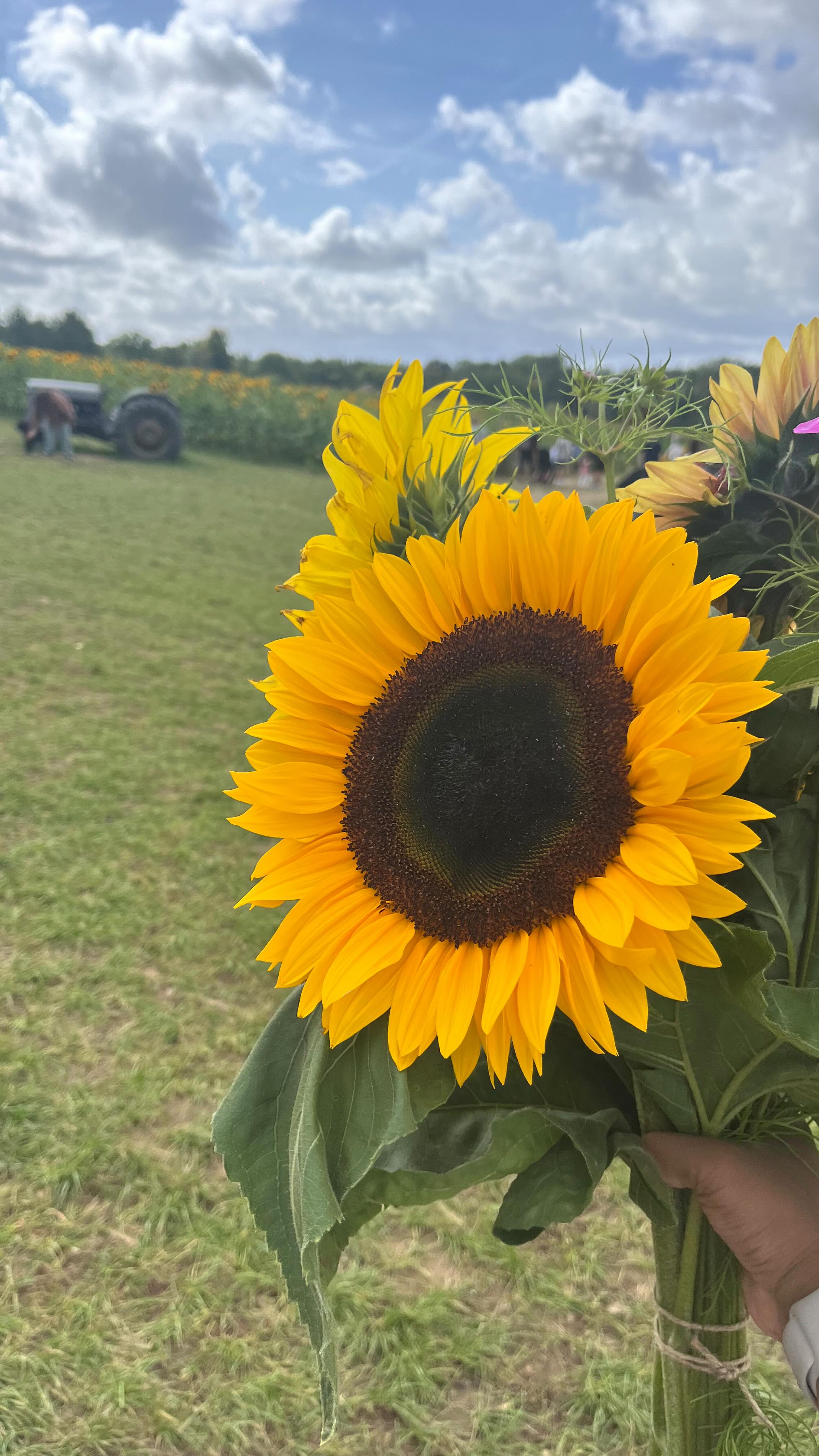 We’ve been working (softly) on this for a year… Are you ready to step into luxury, legacy, and leadership? Oh and rest! 🍷💼✨”
📍 March 11–14, 2026
📌 Only 20 spots
👉 Tap the link in bio to join us in rest.
#RestfulLeadership #LuxuryRest #BlackWomenDeserveRest