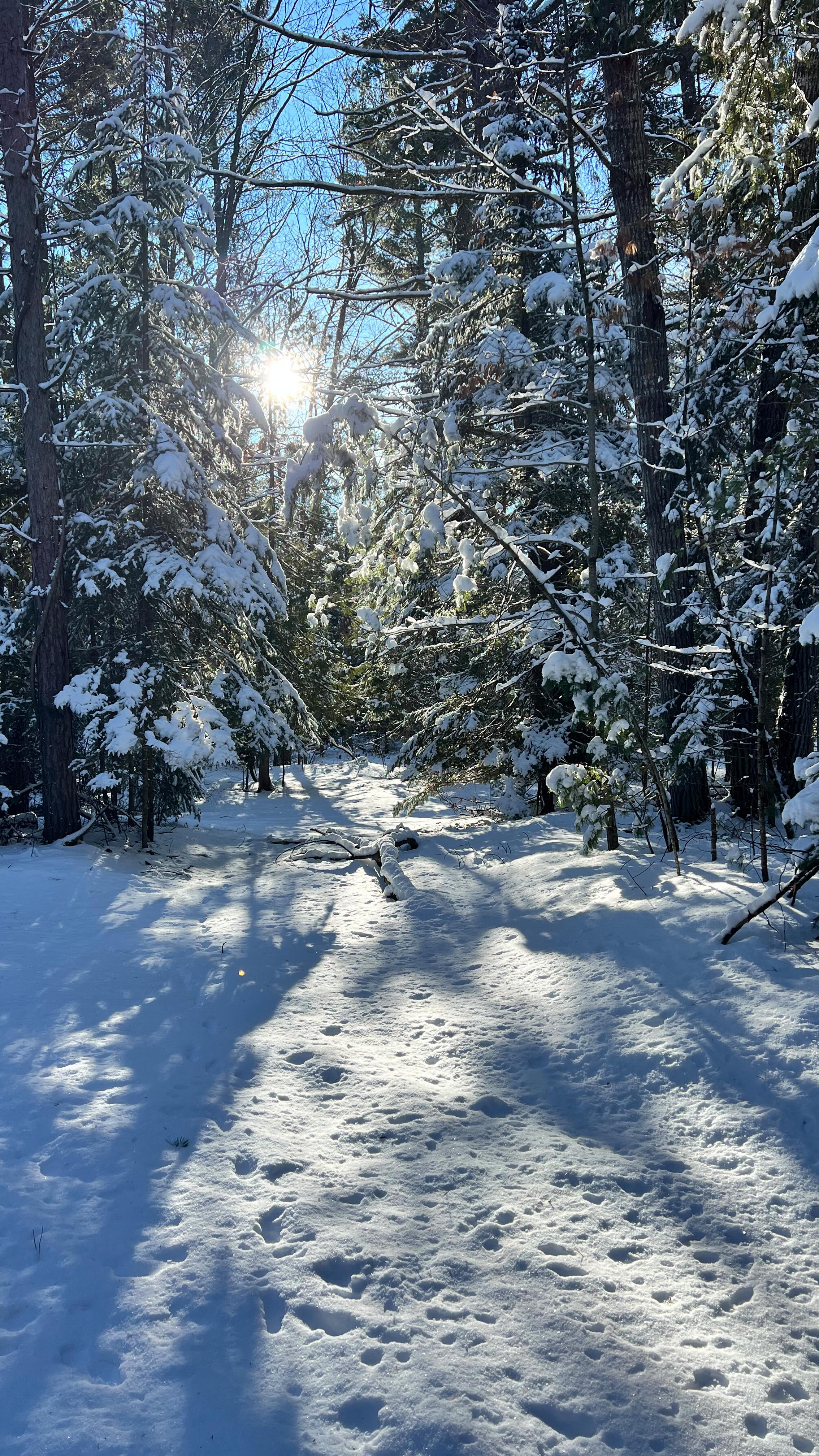 Environmental goals this year? Do tell! I want you in my algorithm. Also, join us in trying to cleanup 1M pieces of trash from the Great Lakes watershed. We WILL reach this goal in 2026. I am certain of it!! 🌏 #sustainability #ecofriendly #environment