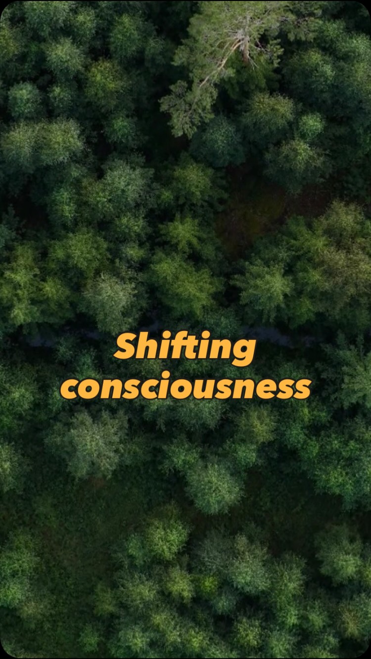The way we live together with each other, animals and nature is a reflection of something deeper. A disconnection with the part of the “ self “ that knows we are interconnected. That life is not the way we think about it, but so much more. And we get reminded when we experience the love or connection we share with horses.
Feeling deeply may seem like a burden sometimes, but it is also the key to the road that leads us home. ❤️🙏
#healing #transformation #connection #horses #equinetherapy #animalcommunication #heartcoherence #animalwelfare #horsewhisperer #horseofinstagram #wuxing #chigong #chakra #chakrahealing #chakrareading #spiritualawakening #spirituality