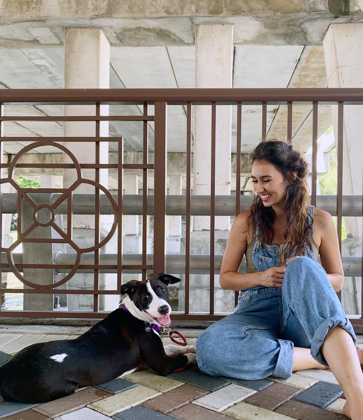 Sweetest dog you’ll ever meet.