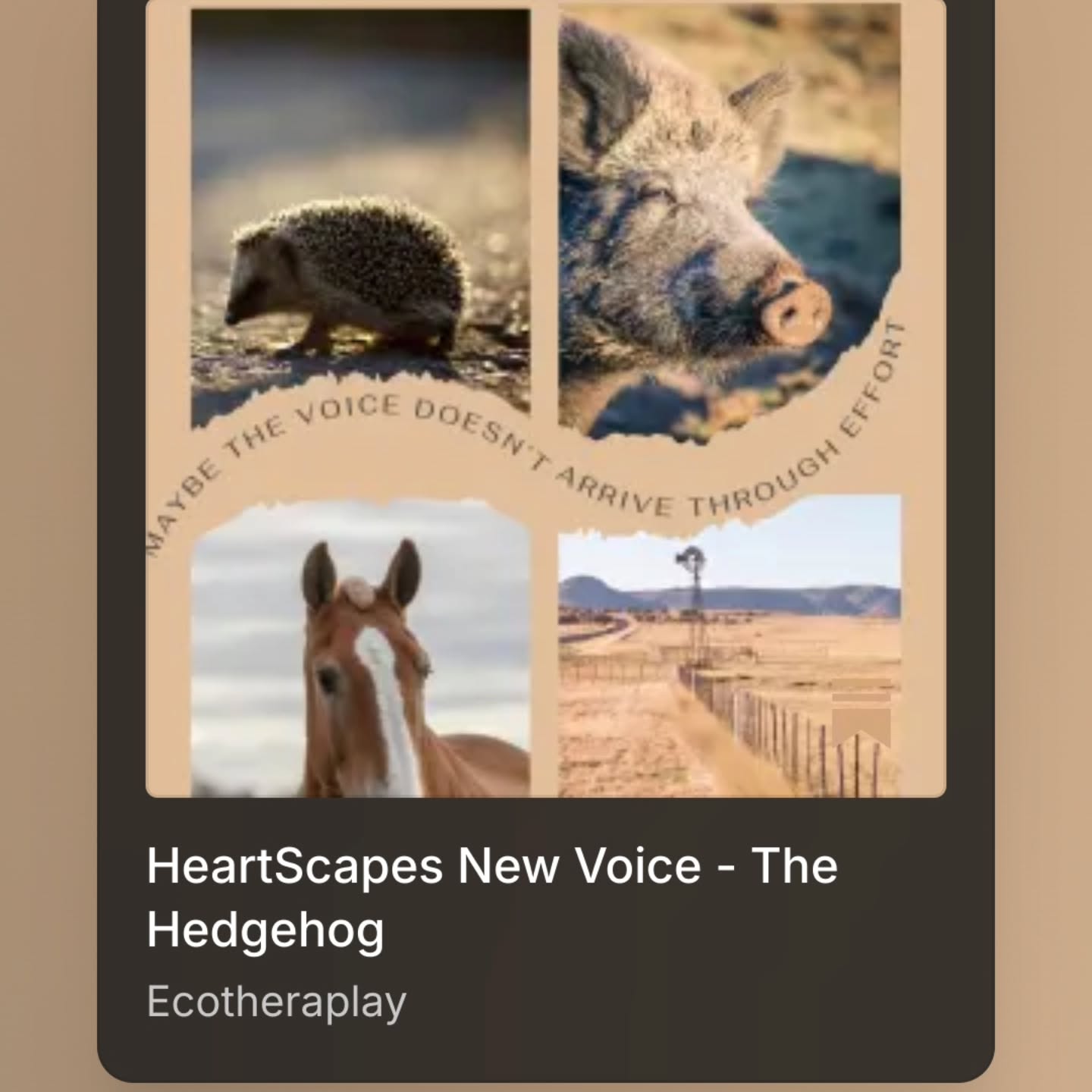 HEARTSCAPES Refreshed New Substack! Discovering voice without efforting. Hope you enjoy!
Link: https://open.substack.com/pub/ecotheraplay/p/heartscapes-new-voice-the-hedgehog?utm_source=share&utm_medium=android&r=4om2o7
#Ecotheraplay #healingwithnature #playmatters #NatureArt #MidlifeHealing