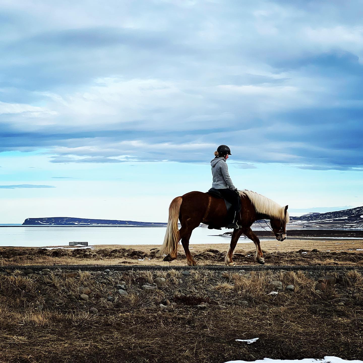 Spring is in the air at Baer and we are preparing both our horses and our art center for the summer ahead…
See more of our horses @baer_hofdastrond
🌱☀️