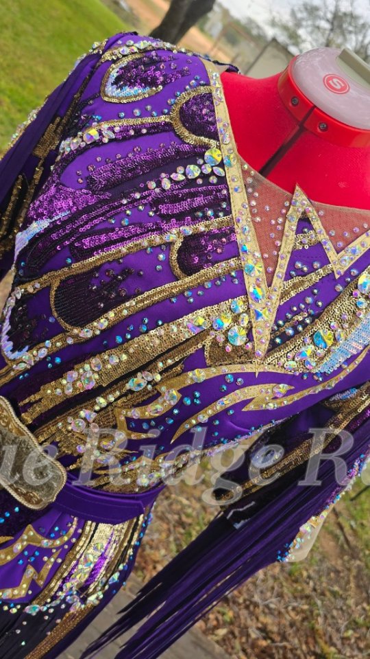 Where western glam meets couture! Leather and beaded fringe, gold detailing, and ALL the sparkle 🤠💜 Made by me, with love (and a lot of patience).
#rodeoqueen #rodeoqueenfashion #customdress #customwesternwear #pageantdress