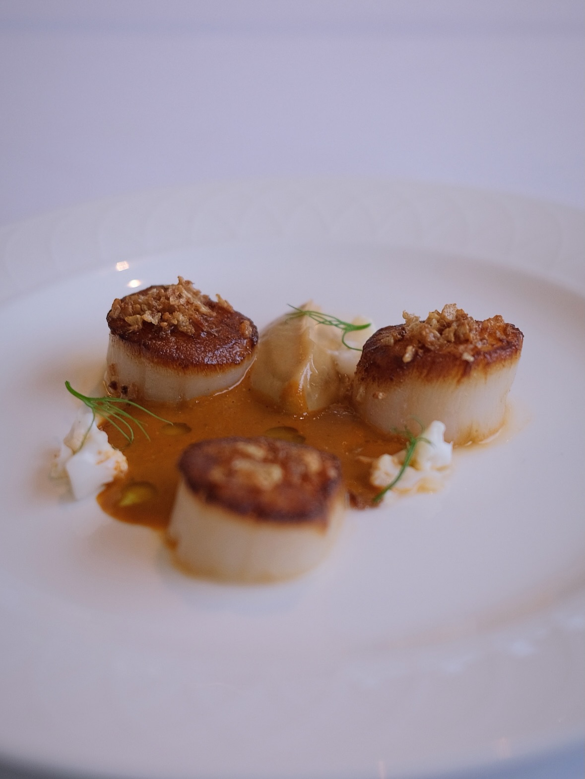 Valentine’s at Gonville Kitchen 💌
Hand-dived scallops, served with brown butter cauliflower purée, pickled cauliflower and finished with a rich shellfish bisque.
A beautifully indulgent start to our Valentine’s three-course dinner.
Join us on 13th and 14th February for a romantic evening to remember.
£69 per person
Glass of Chapel Down Brut & a red rose on arrival 🌹
#valentines #dinner #cambridge