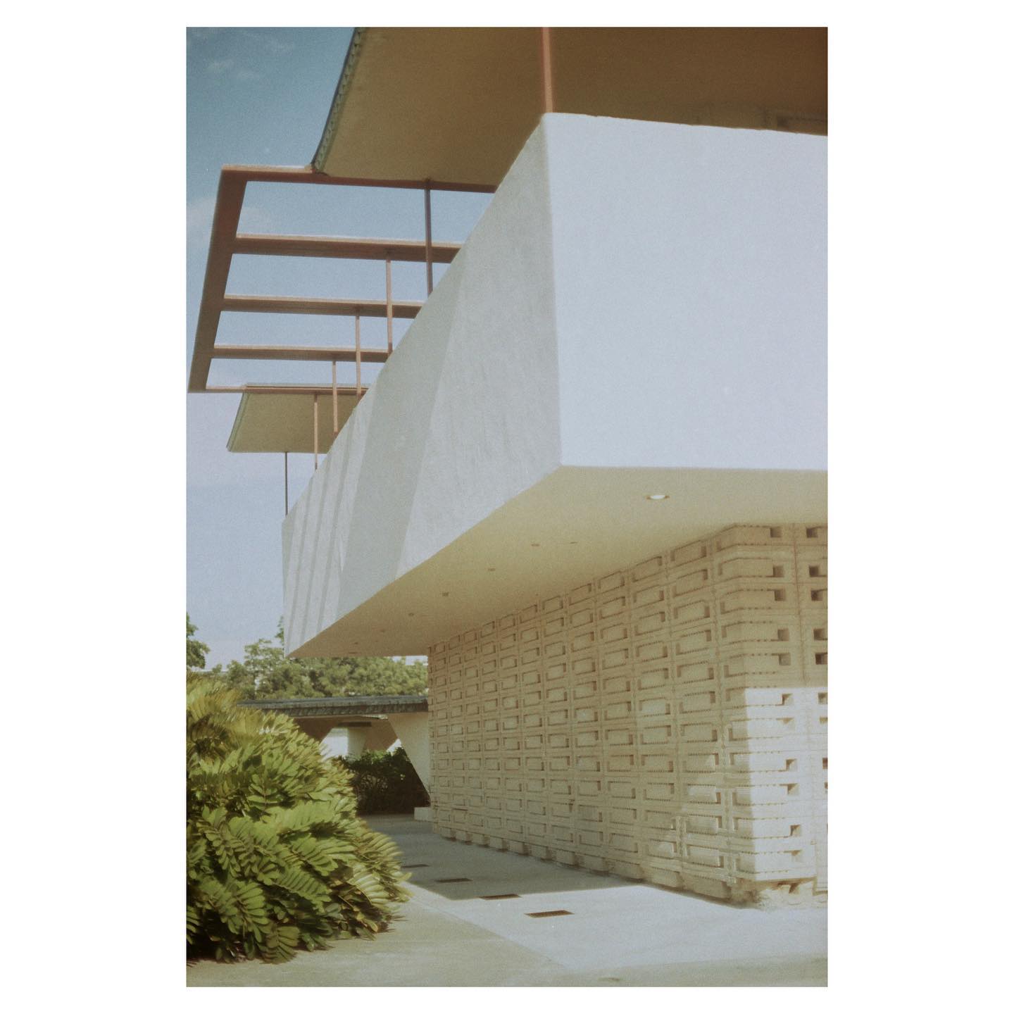 Florida Southern College by Frank Lloyd Wright
📷: canon ae-1 / kodak gold 200
#ae1 #35mm #canon #canonae1 #kodak200 #kodak #kodakgold200