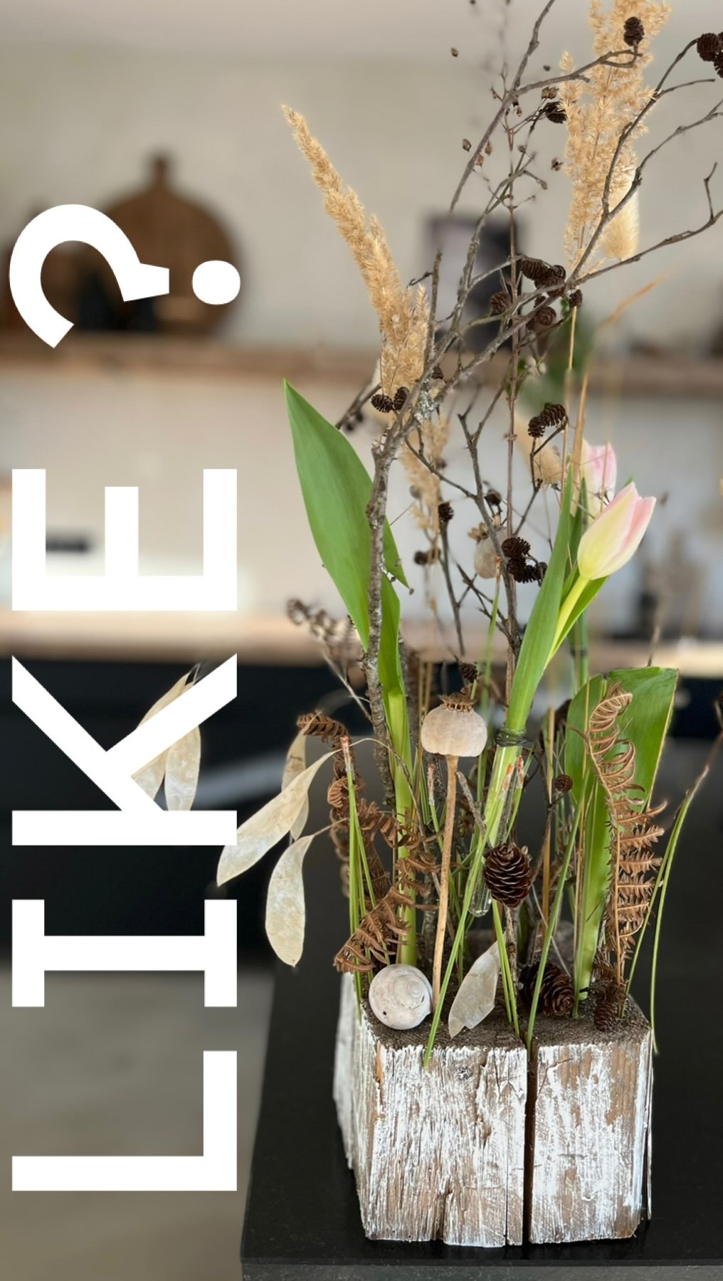 Jänner-Zauber 🤍
Ich weiß ja nicht, wie es euch geht aber ich hab schon langsam Lust auf ein bisschen neue Deko zu Hause.
Wie ihr wisst ich mag es gerne ganz schlicht natürlich und simpel.
Am besten mit Dingen, die ich vielleicht sogar schon zu Hause habe.
Heute habe ich eine schöne DIY Idee für euch.
Dieses Stück Holz hab ich auf meinem Holzstaffel gefunden und einfach verschieden, starke Löcher rein gebohrt.
Beim letzten Spaziergang hab ich Erlenzweige gefunden die abgebrochen waren, außerdem habe ich noch einige Gläser und andere Schätze getrocknet zu Hause gehabt.
Die werden jetzt einfach alle in die Löcher reingesteckt. Wenn du magst, kannst du auch ein Reagenzglas mit Draht integrieren und auch ein paar Frisch Blumen dazu stecken.
Ich finde, das ist ein richtiger Ei Catcher, oder?
Wie gefällt dir die Idee? Ich bin sehr gespannt auf deine Meinung und freue mich auf deinen Kommentar 🤍
Viel Spaß beim ausprobieren und nach machen!
Ich freu mich natürlich auch immer, wenn ihr mir eure Werke zeigt 🥰
Würdest du diese Deco auch zu Hause aufstellen? 🤍
Alles Liebe, deine Meli mint
#diy #decoration #home #zuhause #deko #trockenblumen #dekoliebe #selbermachen #naturkind #natur