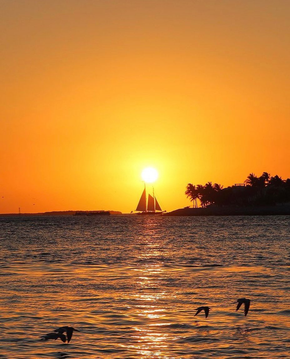 🎥 Adrift Film Festival Banner Photo Contest 2021 📸
🙌🏼 NEW entry!!
📸 @pineappledave631
#yachtiesonly for more information on how to enter follow the link in our bio
Update!!! 2021 Banner Photo Competition entry date has been extended to 1st October, 2021 📸 and the cash prize doubled!
+ all submitted entries are valid
+ up to 5 entry submittal per person
+ photo required to be wide angle, high res, ocean themed, include all or partial of a boat, include a clear space for font, create a feeling of being ‘adrift’
+ 1st October, 2021 entry deadline
+ $500 cash prize
+ guest seat on AFF judge panel
Please support Adrift Film Festival 2022 by joining us at the live event in 2022 at @parkandocean with donations to @yachtaidglobal
#yachtiesonly #yachtlife #yacht #yachtparty #yachtlifestyle #yachting #yachts #yachtcrew #yachtbroker #yachtcharter #yachtlover #yachtstyle #yachtworld #yachtingworld #yachtie #yachties #yachtieworld #yachtielife #yachty #captain #deckhand #stewardess #chef #crew #crewlife