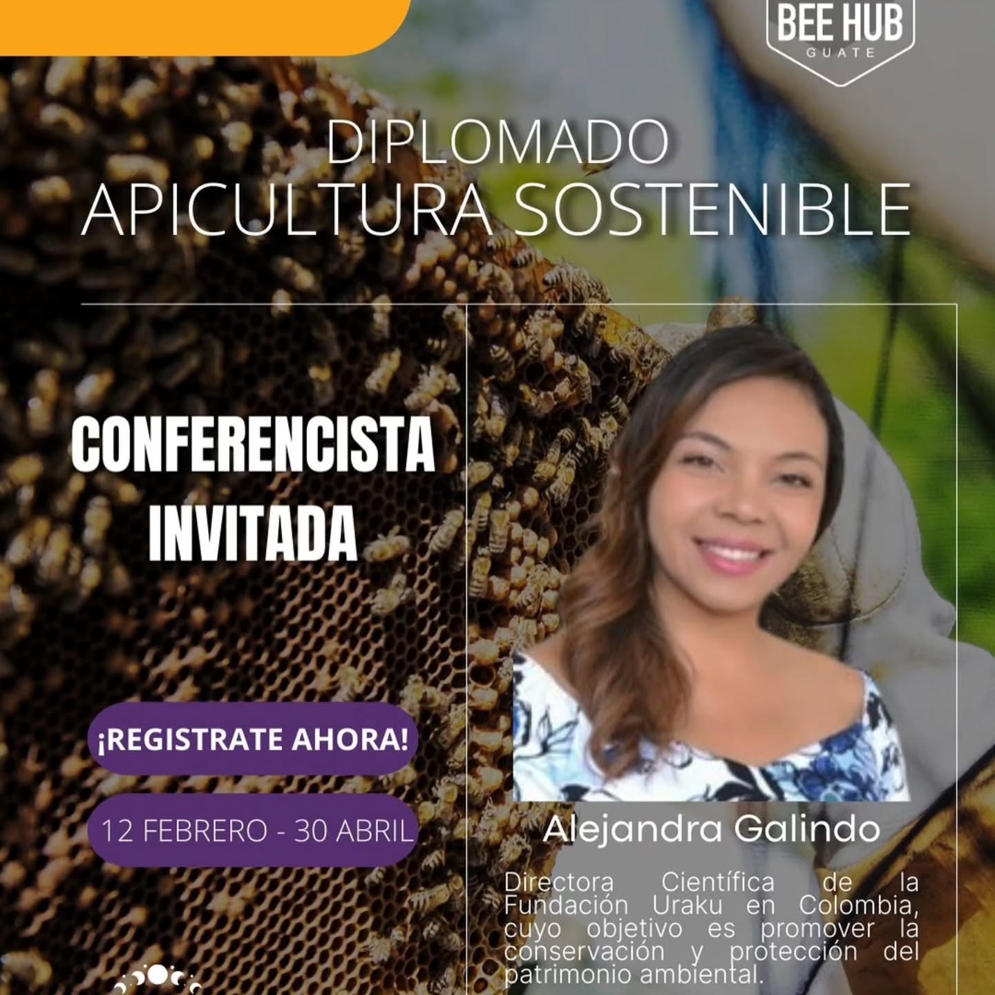 #Repost @beehubgt
...
🐝 Conferencista invitada | Diplomado en Apicultura Sostenible – BeeHub Academy
Nos alegra profundamente contar con la participación de Alejandra Galindo Panqueva, bióloga y Magíster en Bosques y Conservación Ambiental por la Universidad Nacional de Colombia, con una trayectoria sólida en la protección de la biodiversidad, la conservación de los ecosistemas y la educación ambiental. Actualmente es directora científica de la Fundación @urakucolombia, organización dedicada a la defensa y conservación del patrimonio ambiental, y trabaja activamente en la creación de la Reserva Natural Uraku, a través de procesos de diseño permacultural enfocados en la regeneración de los territorios y la vida. Su trabajo articula ciencia, naturaleza y comunidad, promoviendo una relación respetuosa con los ecosistemas.
Alejandra lidera y acompaña múltiples iniciativas vinculadas a la biodiversidad y la sostenibilidad, entre ellas la Comunidad Slow Food Biodiversidad y Alimentación, así como procesos educativos que fomentan el respeto, la empatía y el cuidado de todos los seres vivos. Su experiencia como docente universitaria e investigadora se suma a una visión integral que entiende la conservación como un proceso vivo, cultural y profundamente humano. Su participación en el diplomado fortalecerá la mirada ecosistémica, ética y regenerativa que guía la propuesta formativa de BeeHub 🌱 📩
Pre-regístrate enviándonos un DM 🔎 Conoce más sobre el diplomado en: 🌐
www.beehubguate.com
#BeeHubAcademy #ApiculturaSostenible #Biodiversidad #Conservación #EducaciónAmbiental