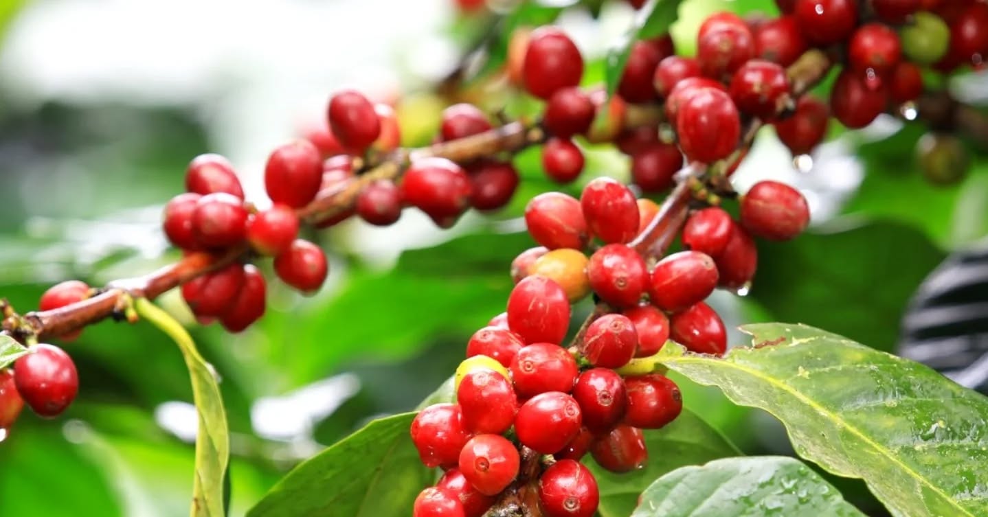 Embun akhir bulan November