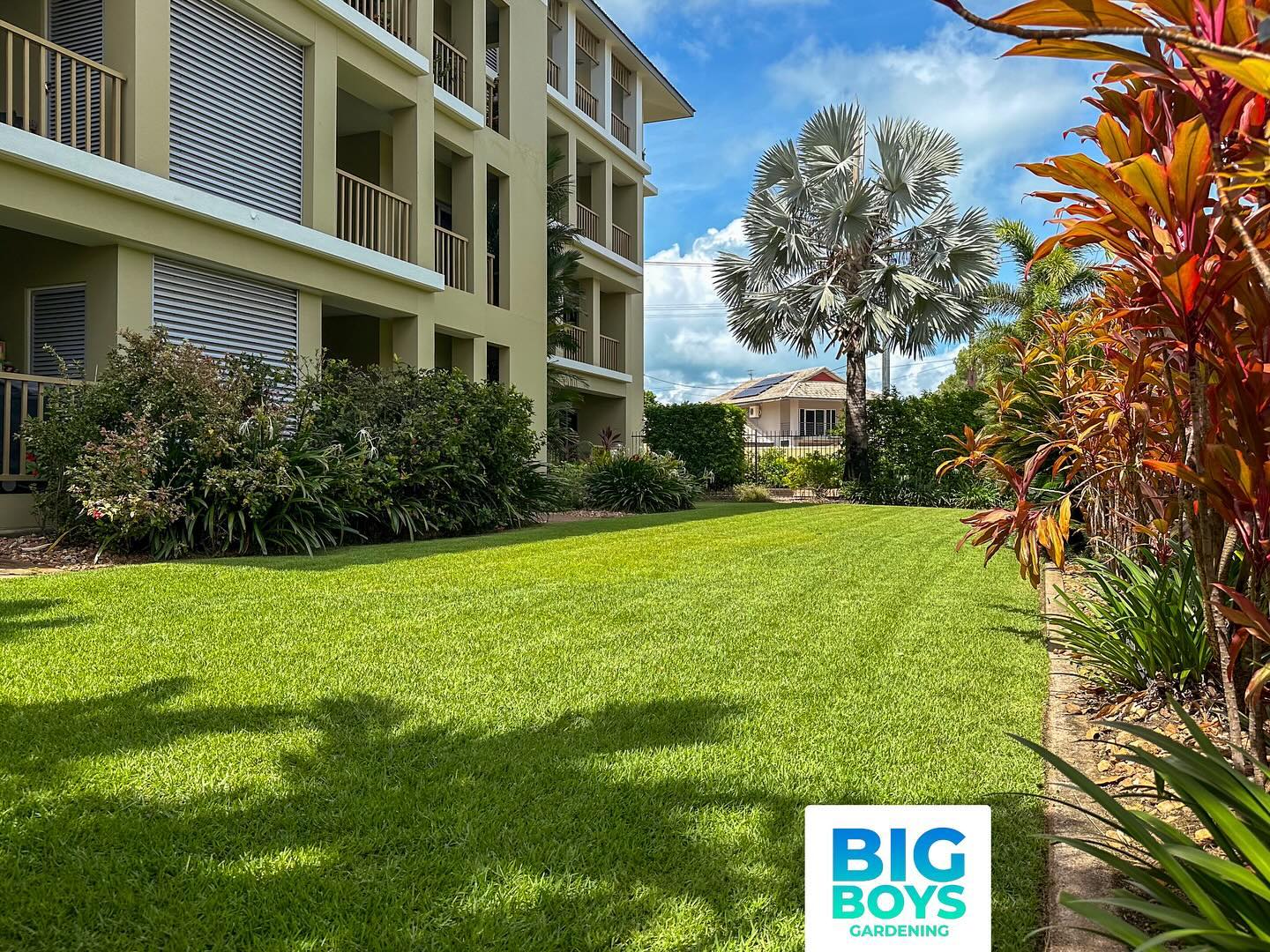 Ready for the New Year #darwin #gardening #lawnmowing #topend #lawn #garden #newyear