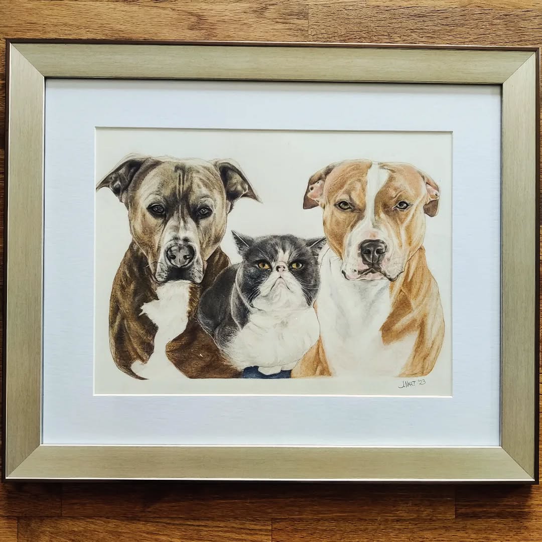 And commission framed........
#pets #petsofinstagram #dogsofinstagram #catsofinstagram #pencilportrait #drawings