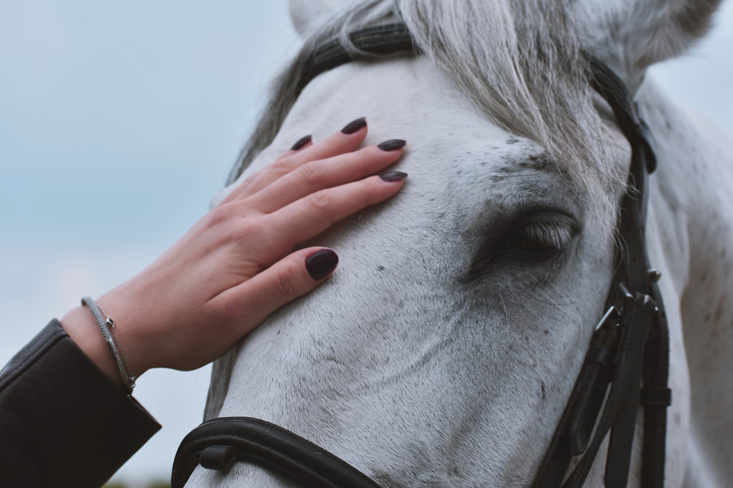 🐴HORSE CARE is a subject that all horsey people are forever learning more about!
➡️I know guys, especially you aspiring horse owners and beginners, this can be very overwhelming!
This is why we are here to help when it comes to your Saddle!
👉🏼At Saddle Trader, we have a strong team of experts within the industry with years of experience!
👉🏻Our marketplace is also a community of Equestrians! We love the idea of bringing equestrians together to form a community of like-minded people who promote similar values.
So please don't be afraid to ask questions, we are here to help!
Go to the link in our bio➡️
#horsecare #heretohelp #equestriancommunity #saddlelife #horseandhound #horseandhoundmagazine #BSPS #Showing #Showjumping #dressage #eventing #hunting #myfavouriteread #equestrianread #legendsofequestriansport #horseofalifetime #equinenews #mustread #saddletrader #horsesofinstagram #horselife #Saddletrader #saddletraderuk #Saddle #Saddleforsale #stocksadle #horseridinguk #saddletraderuk #lifewithahorse #equinelovers
