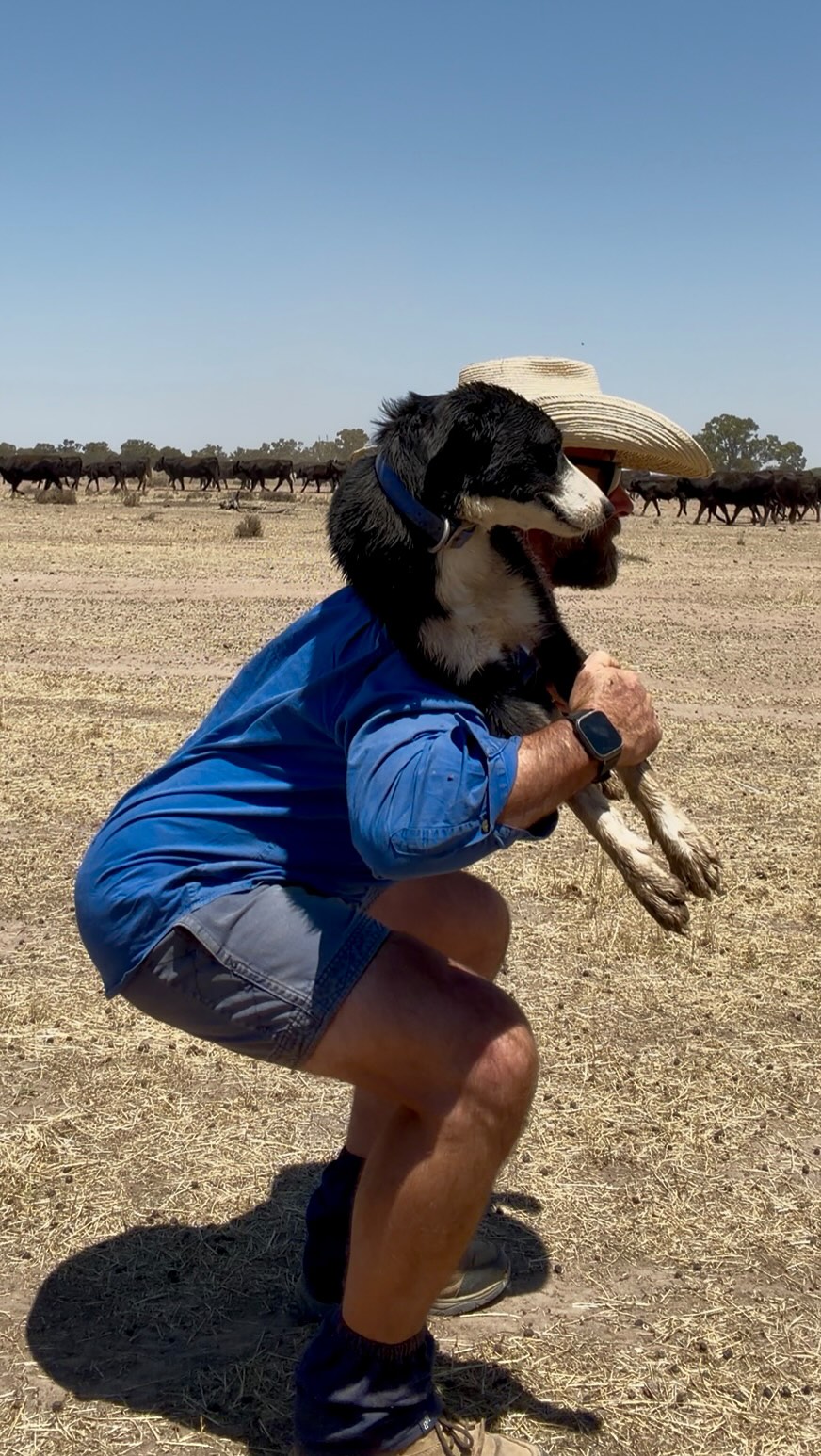 Great to see so many of my clients working hard over the holiday period!! How good is this creativity! Exercise anywhere, anytime!
Ed’s quote “no excuses”!!!