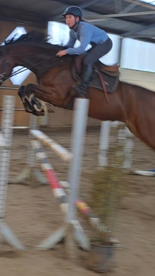 Ausbildung.
Perspektive.
Qualität am Sprung.