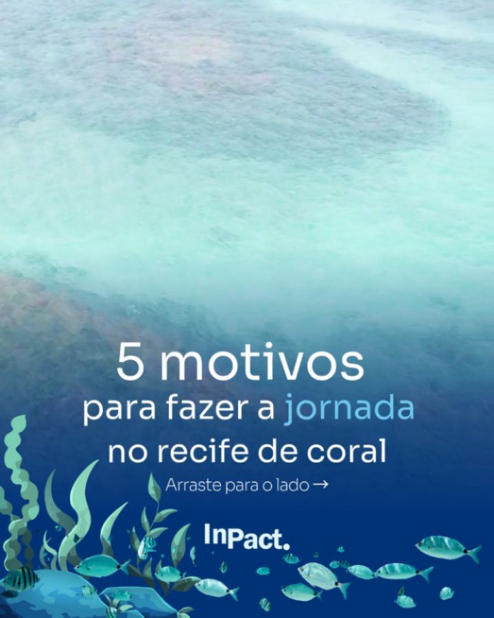 Aqui vão 5 motivos para fazer a Jornada no Recife de Coral:
🐟1. Você irá ver uma Biodiversidade incrível!
Durante a Jornada no Recife de Corais, você tem a oportunidade de observar de perto uma rica diversidade de espécies, como peixes recifais, algas, invertebrados e os próprios corais, entendendo como cada organismo desempenha um papel fundamental no equilíbrio do ecossistema marinho. Essa vivência torna a biodiversidade algo real, visível e inesquecível.
🌊 2. Experiência ecológica e educativa única
Essa jornada não é um simples passeio — é uma vivência que aproxima você dos ambientes recifais, mostrando de forma prática a formação dos recifes, seus processos ecológicos e a diversidade de espécies que dependem desses ecossistemas marinhos.
🐠 3. Aprendizado com especialistas
O passeio é guiado por profissionais com conhecimento em Oceanografia, meio ambiente, biologia marinha, segurança da navegação e comunidades tradicionais, que compartilham informações científicas e culturais que enriquecem sua compreensão sobre os corais e o litoral.
🐚 4. Conscientização e preservação
Participar fortalece sua conexão com a conservação ambiental, mostrando a importância ecológica dos recifes — que servem de abrigo, desempenham funções ecológicas essenciais e estão sob pressão por mudanças climáticas e impactos humanos.
📸 5. Vivência prática e lembranças registradas
A atividade inclui o uso de máscaras e snorkel para observação subaquática, além de um pacote opcional de fotos subaquáticas para que você guarde memórias únicas dessa experiência.
Gostou? Agende já está experiência conosco!
Através do WhatsApp (83) 991388380
#piscinasnaturaisdoseixas #praiadoseixas #pontadoseixas #joaopessoa #nordeste