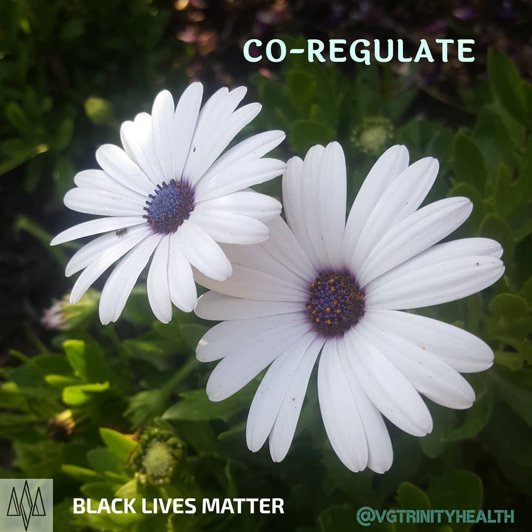 "Humans need to be co-regulated, because experience being co-regulated develops #resilience that will enable a human to self-regulate in the absence of opportunities to co-regulate" (Porges, 2016).
.
.
.
#mentalhealth #therapy #awareness #stress #trauma #ptsd #anxiety #depression #mind #body #spirit #somaticexperiencing #health #recovery #gratitude #relationship #free #hope #help #open #connection #newyear #2021