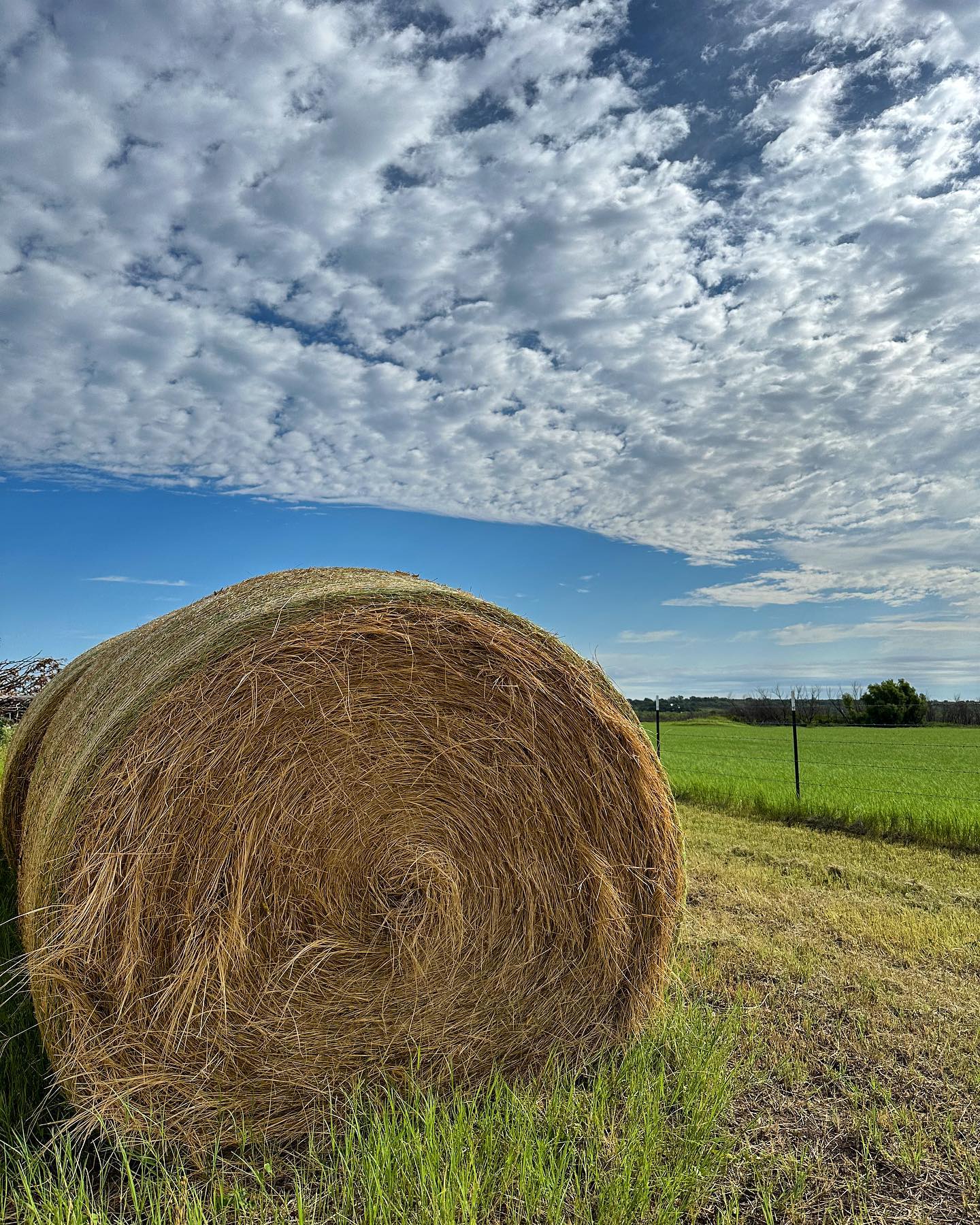 Thankful for this beautiful land! Happy Fourth of July from NLC 🇺🇸🤍