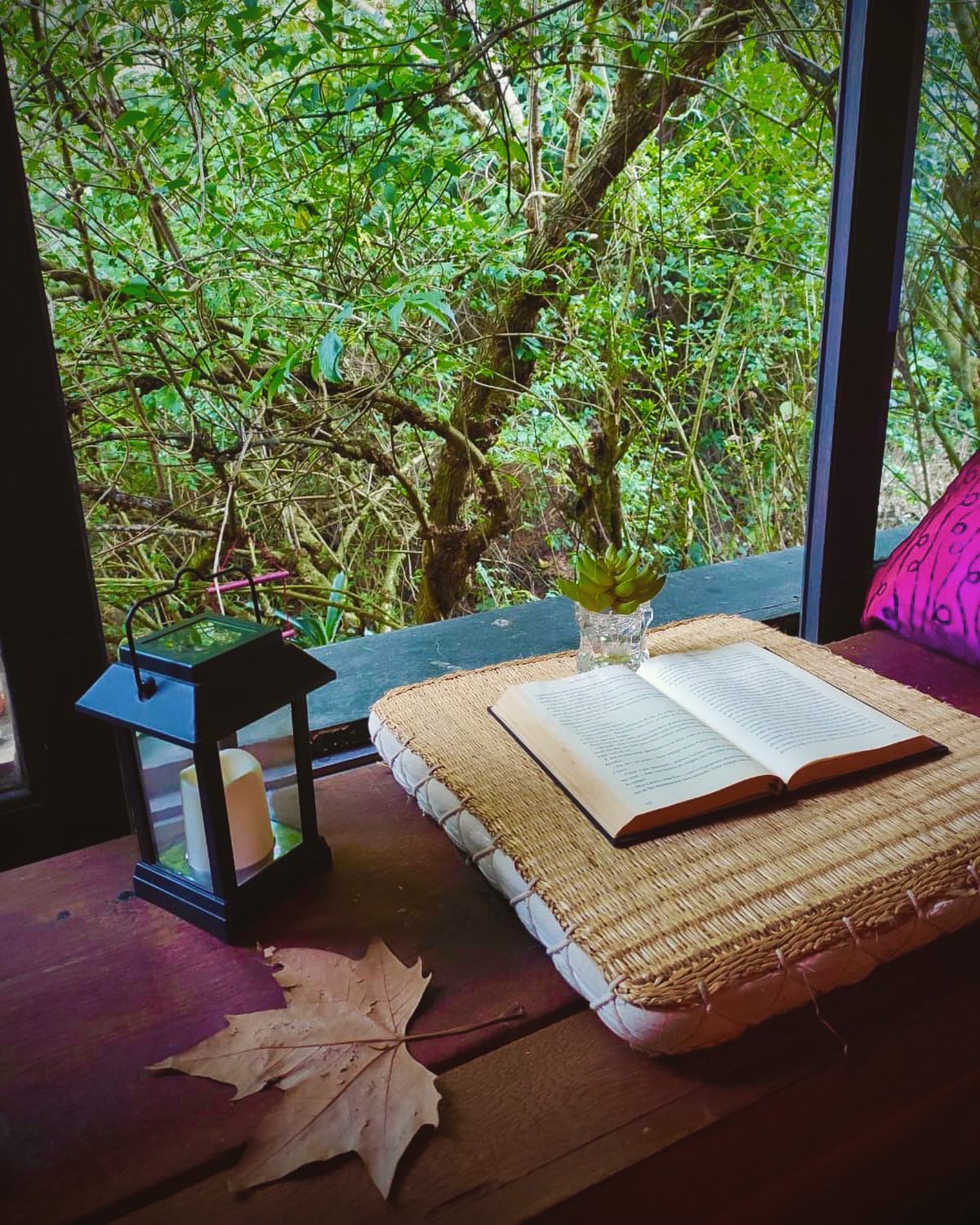 hoje me sinto feliz...Feliz pela saúde das pessoas que mais amo e agradecida por essa infinidade de bons momentos que já vivi 🤍 não tenho nada além disso para falar aqui no insta hoje 🙂
#instabook #books #happy #photography #photooftheday #camposdojordao #chale #bookstagram