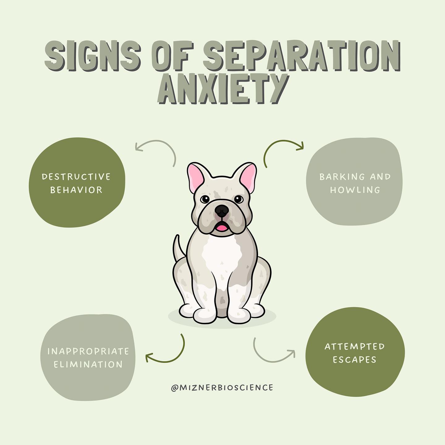 Does your dog exhibit signs of separation anxiety? We can help. ❤️
Mizner Bioscience’s Clomipramine Hydrochloride tablets are indicated for the treatment of separation anxiety in dogs. #ThinkMiznerBioscience #CanineSeparationAnxiety
Learn more at miznerbioscience.com