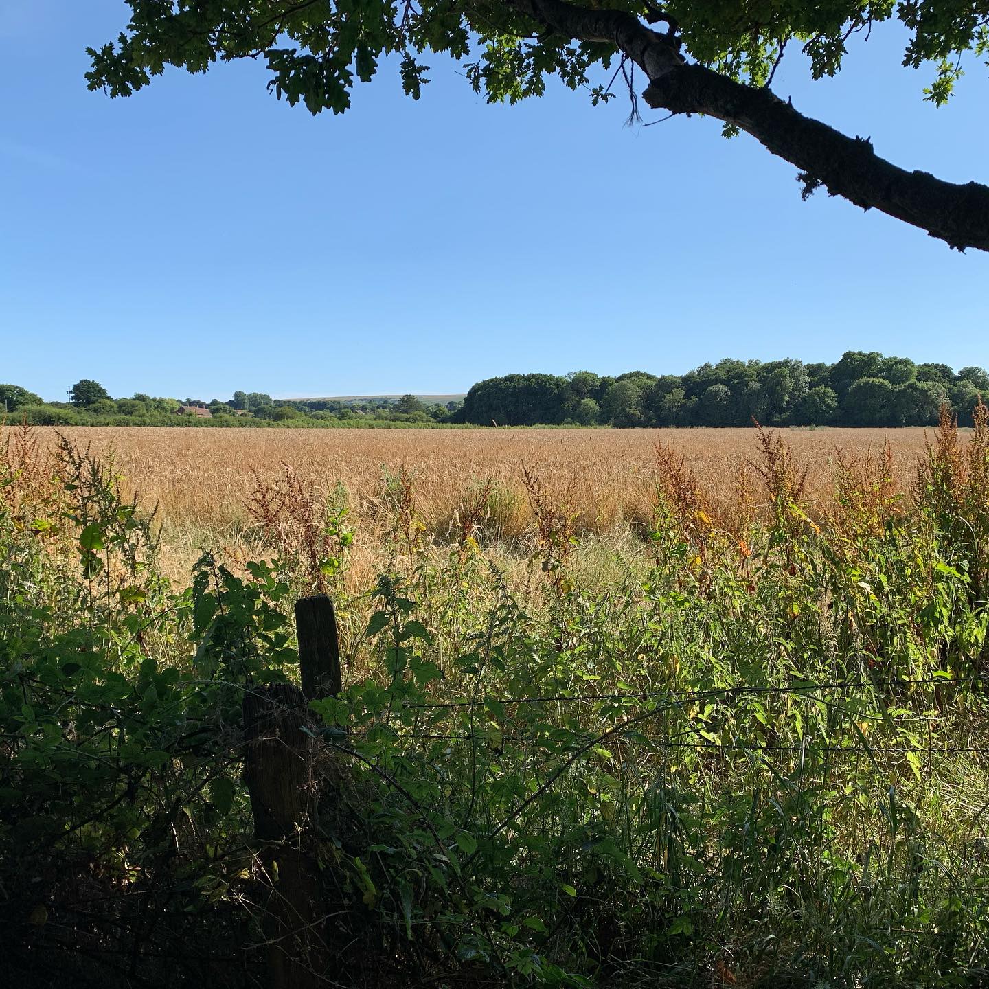 The lunch break view 🍝