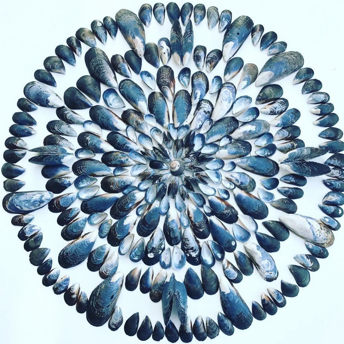 ☀️Summertime state of mind. ☀️
We have massage appointments available this week.
Tuesday: 9-2 available for singles and couples.
Wednesday: 9-12
Thursday : 10-3 open
Friday: 10-1 singles and couples, 3:30-6 pm
Book your session through our website
www.the-healing-gallery.com